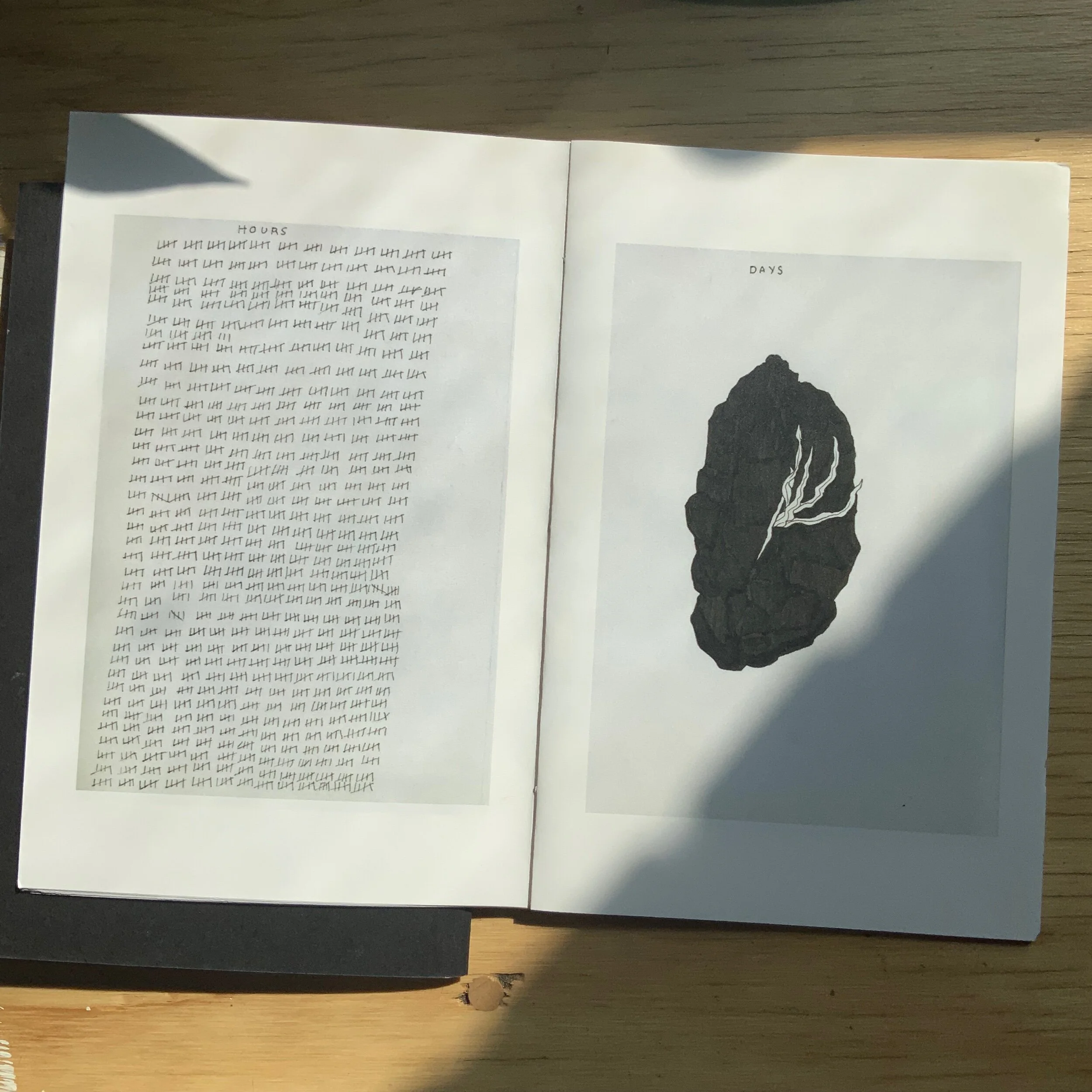 DD7173AD-1F8F-4D1E-9EB1-D5ED4C139666