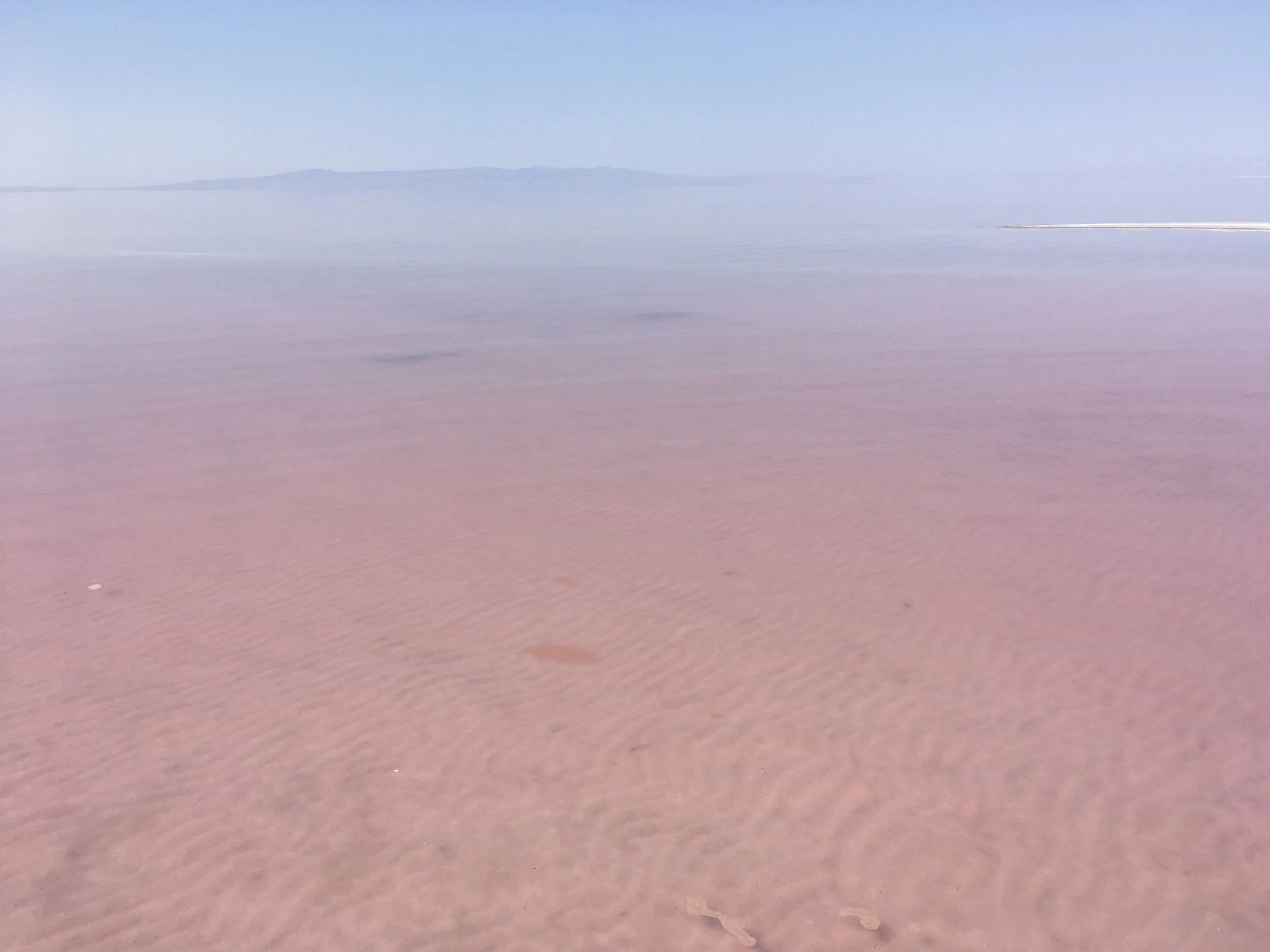 Pink Lake.jpg