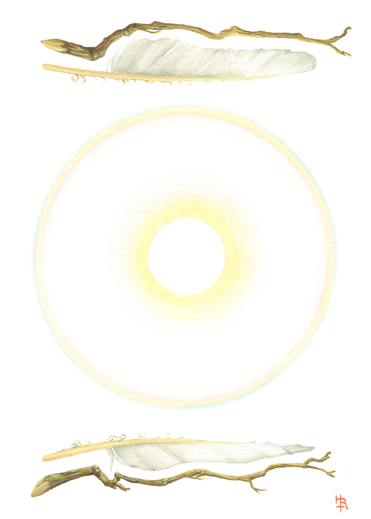 Symbiosis_web.png