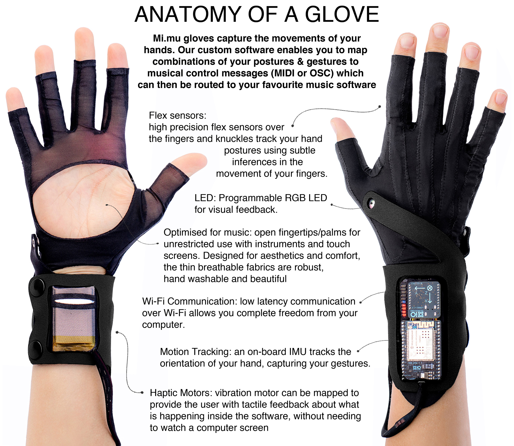 anatomy of a glove web.jpg