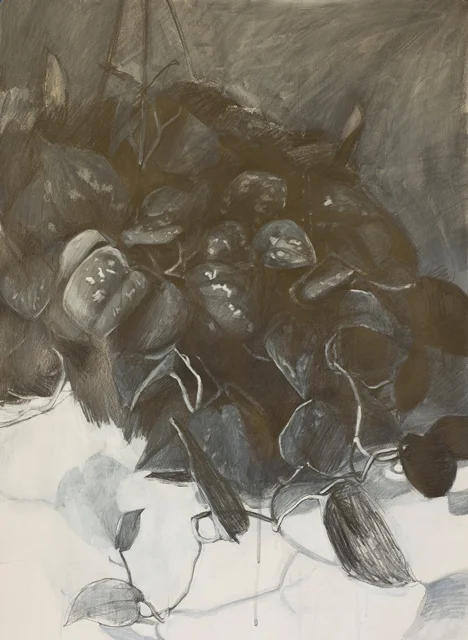 Philodendron #3 . Graphite, gesso, mica powder on paper. 2016.