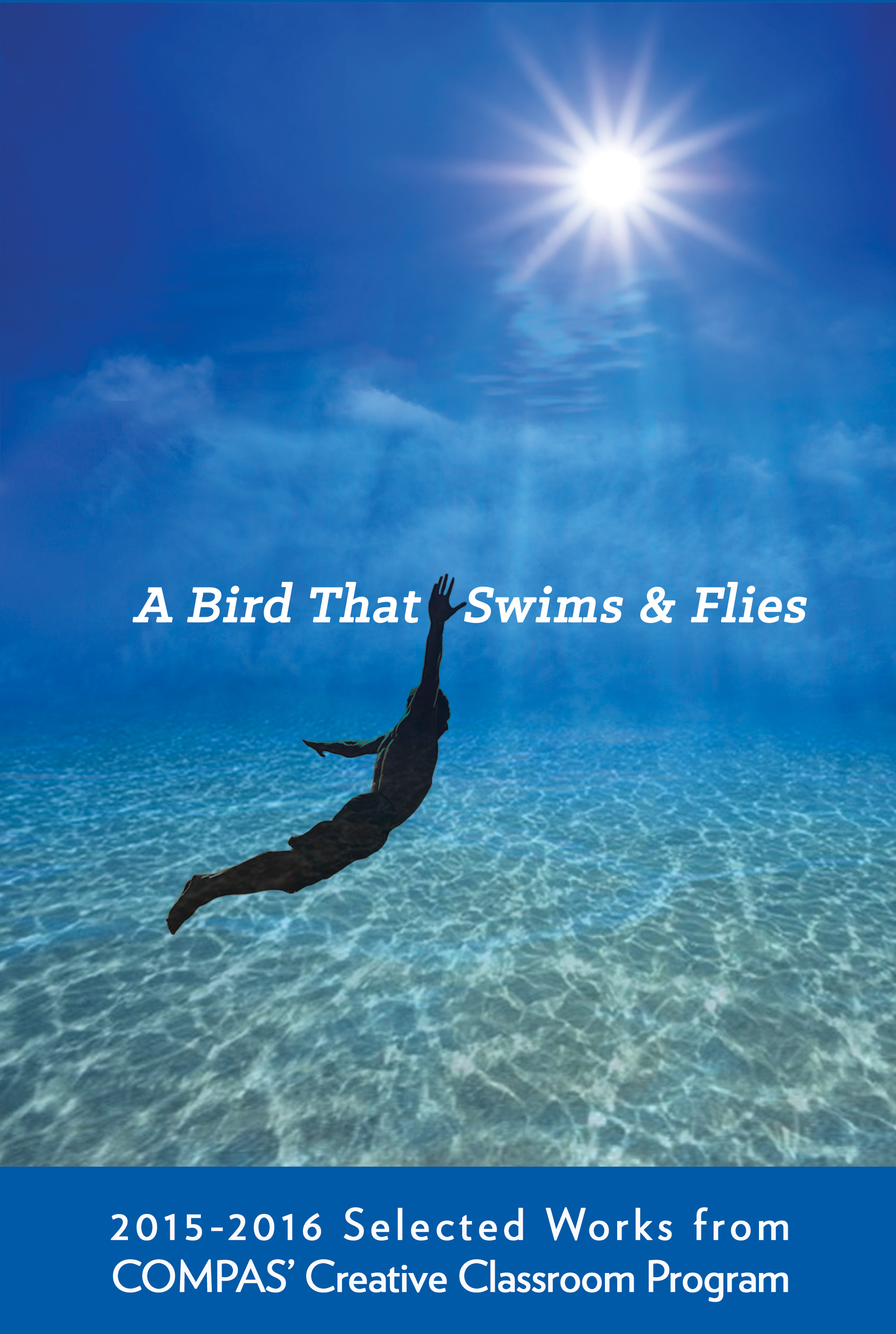 ABirdThatSwimsAndFlies_BookCover.jpg