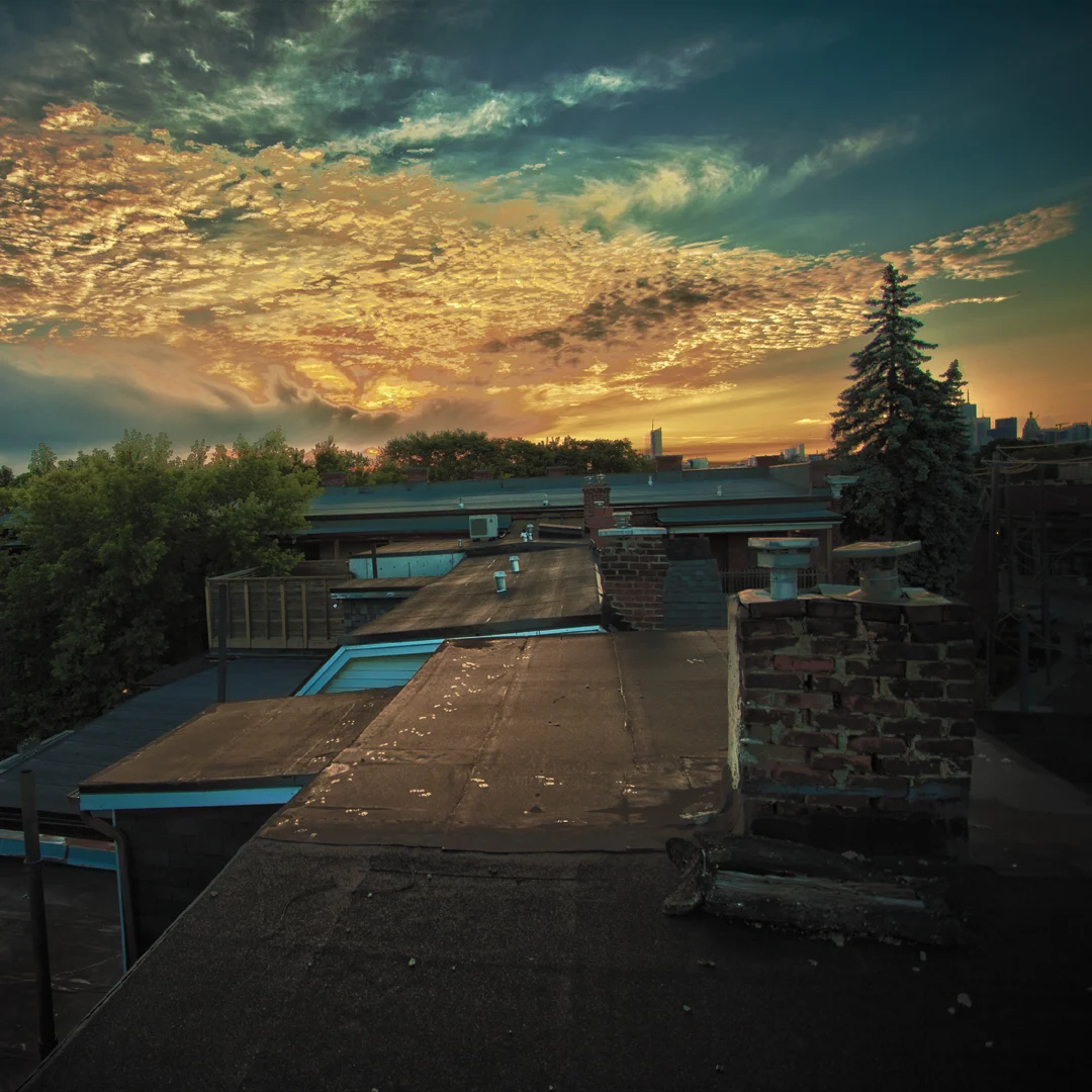 roof.jpg