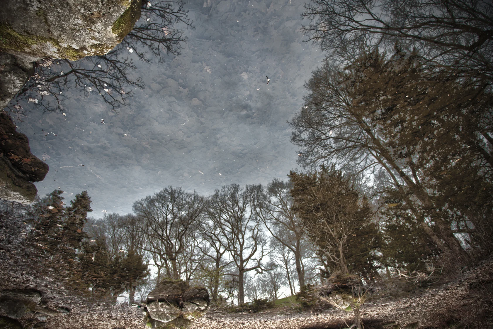 Untitled_HDR4.jpg