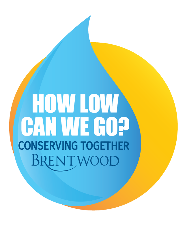 Brentwood-How-Low-Can-We-Go-Logo_Final.png