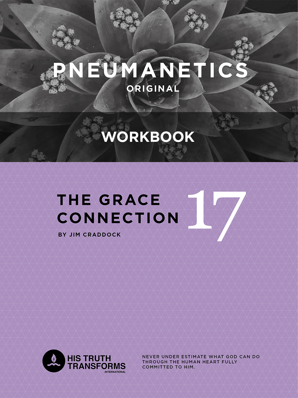 pneumanetics-17-workbook.jpg