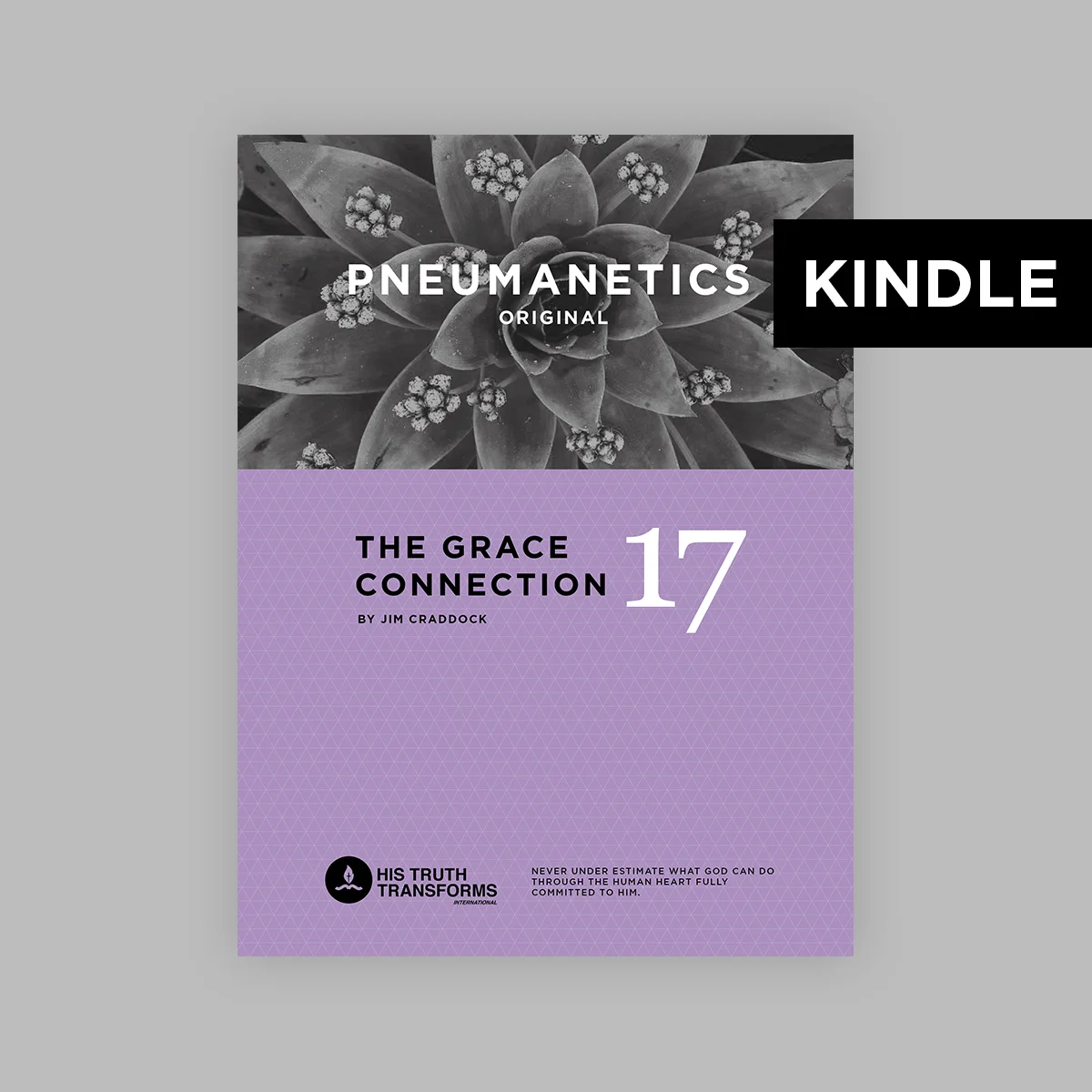 KINDLE---Pneumanetics-17.jpg