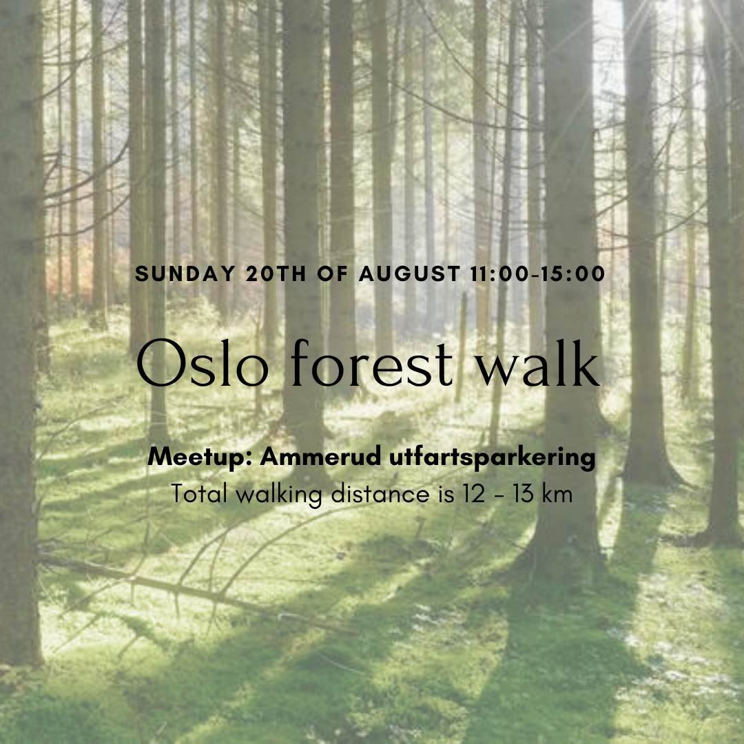 Oslo Forest Walk 