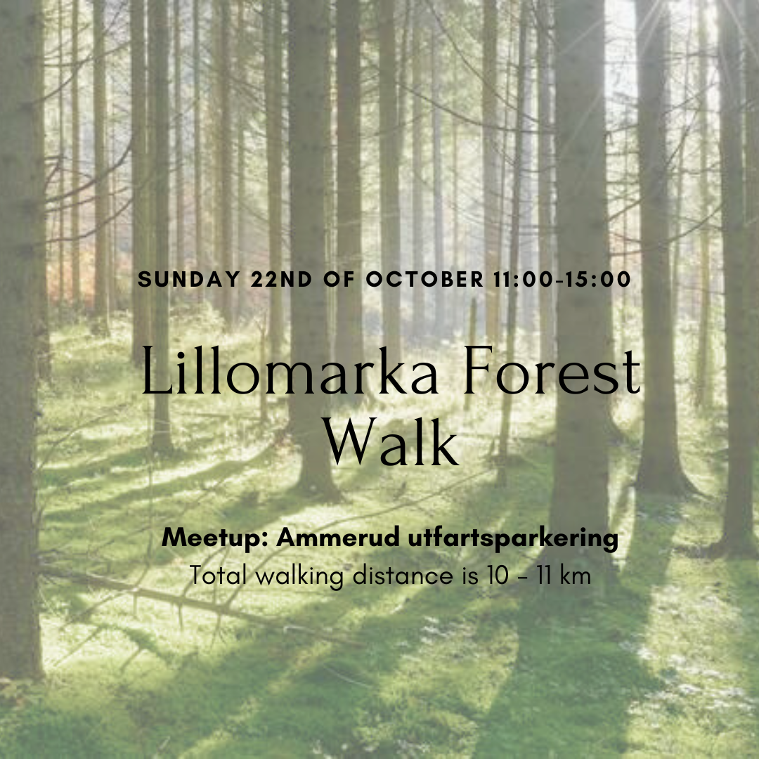 Forest walk in Lillomarka Sunday 22 October 11:00-15:00