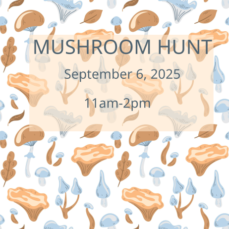 Mushroom Hunt 2025