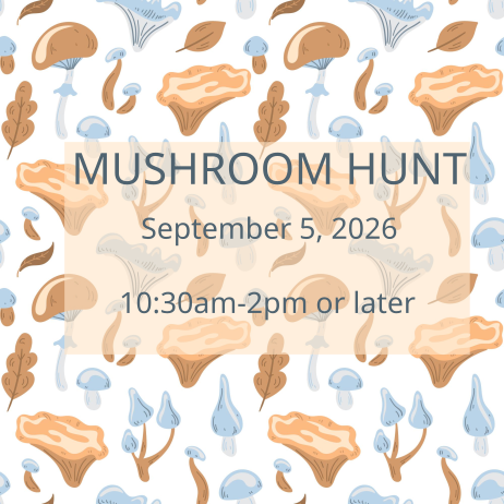 Mushroom hunt September 5th, 10.30am-2pm  or later