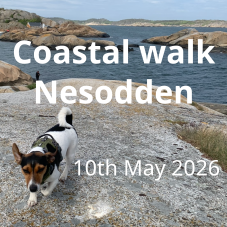 coastal walk Nesodden