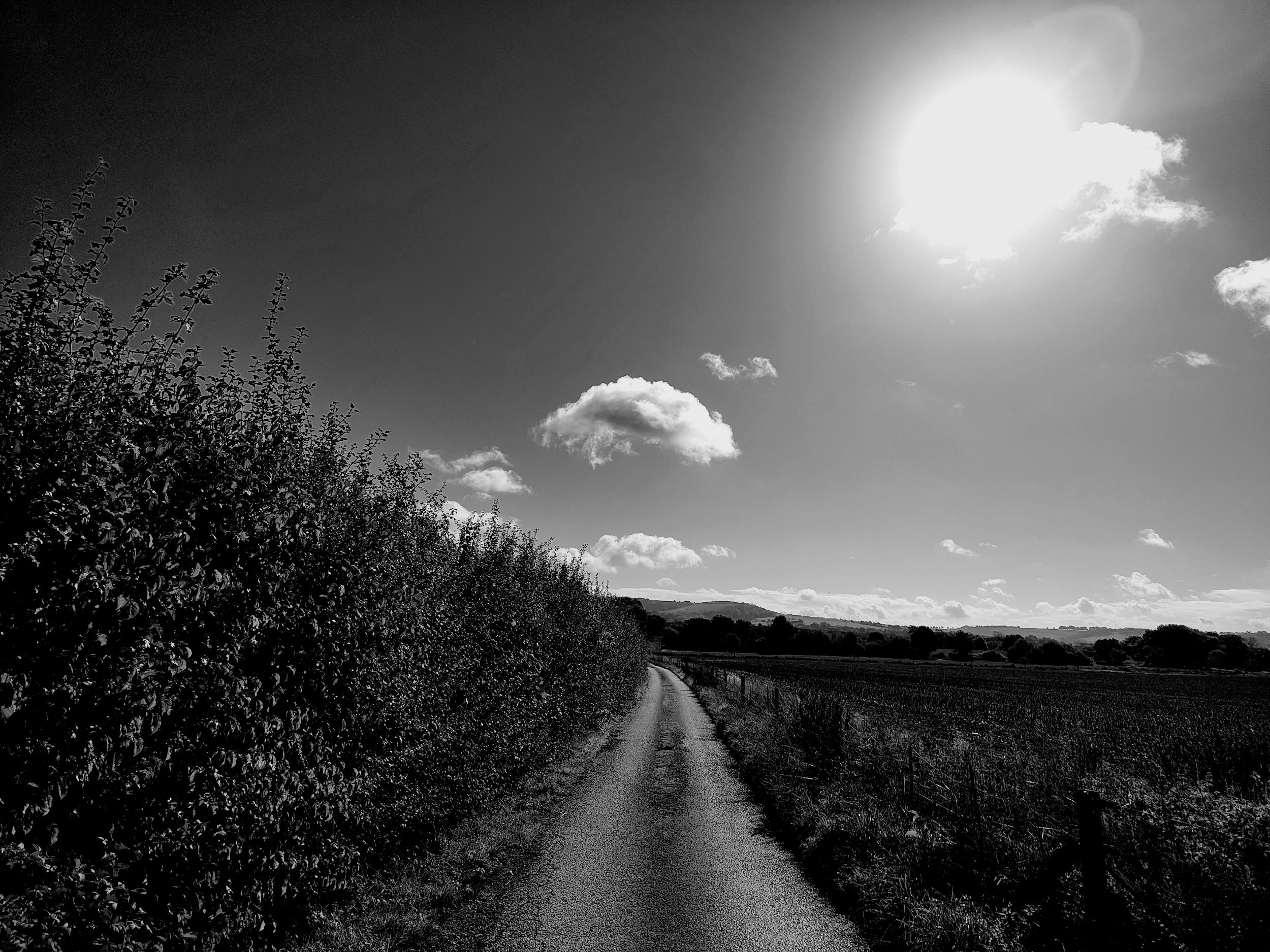 processed_1000042845.jpg