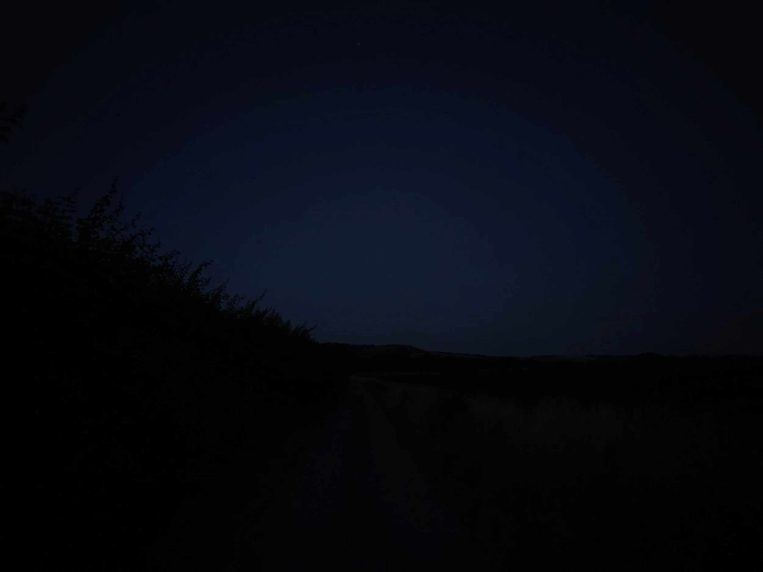 processed_1000033959.jpg