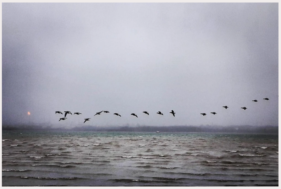 Courage Is Putting Your Name On It