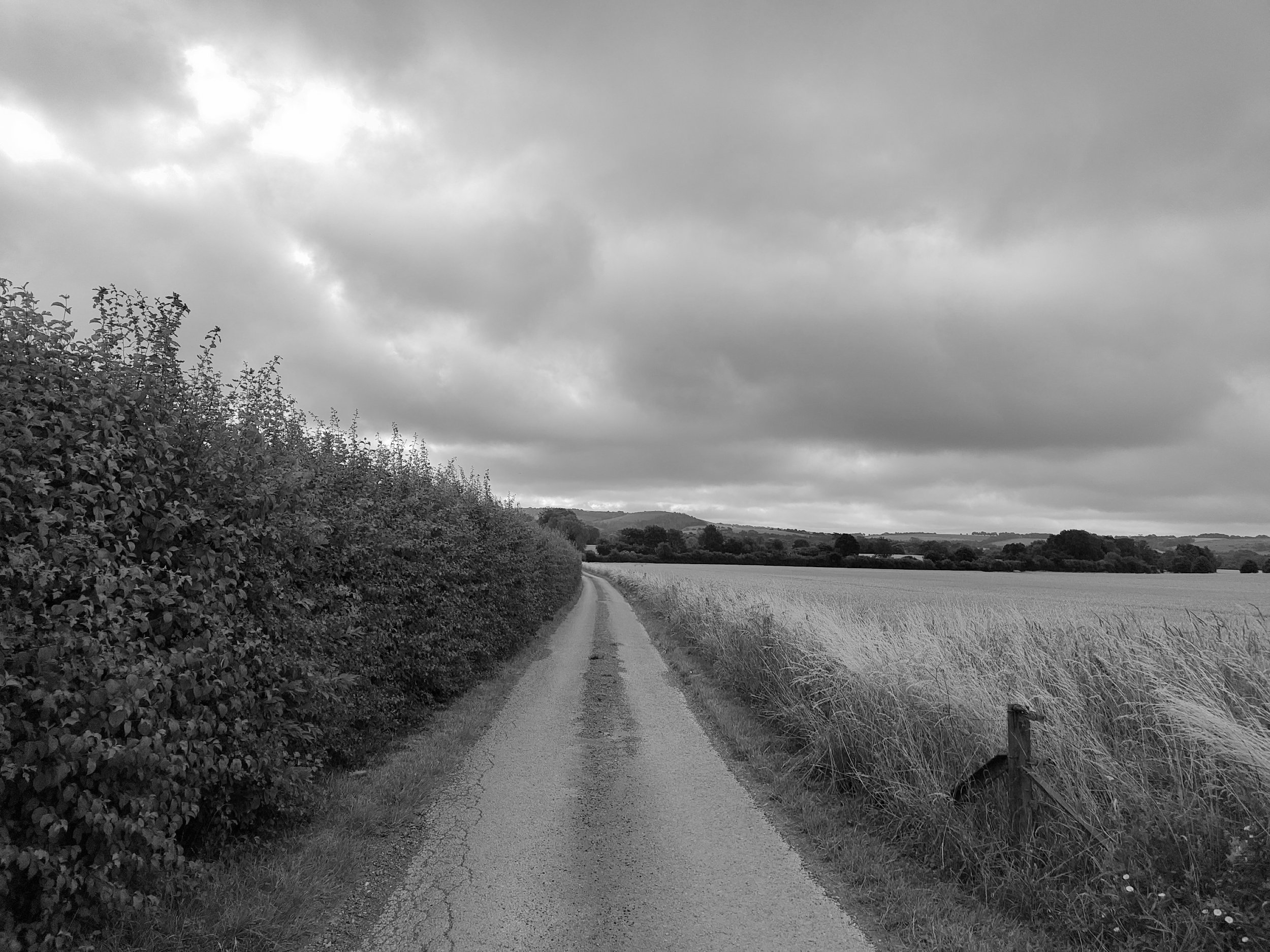 processed_8031.jpg