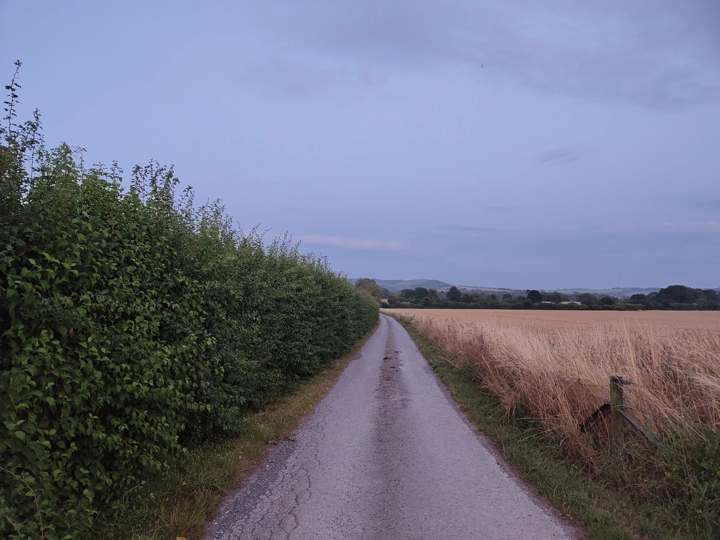 processed_8715.jpg