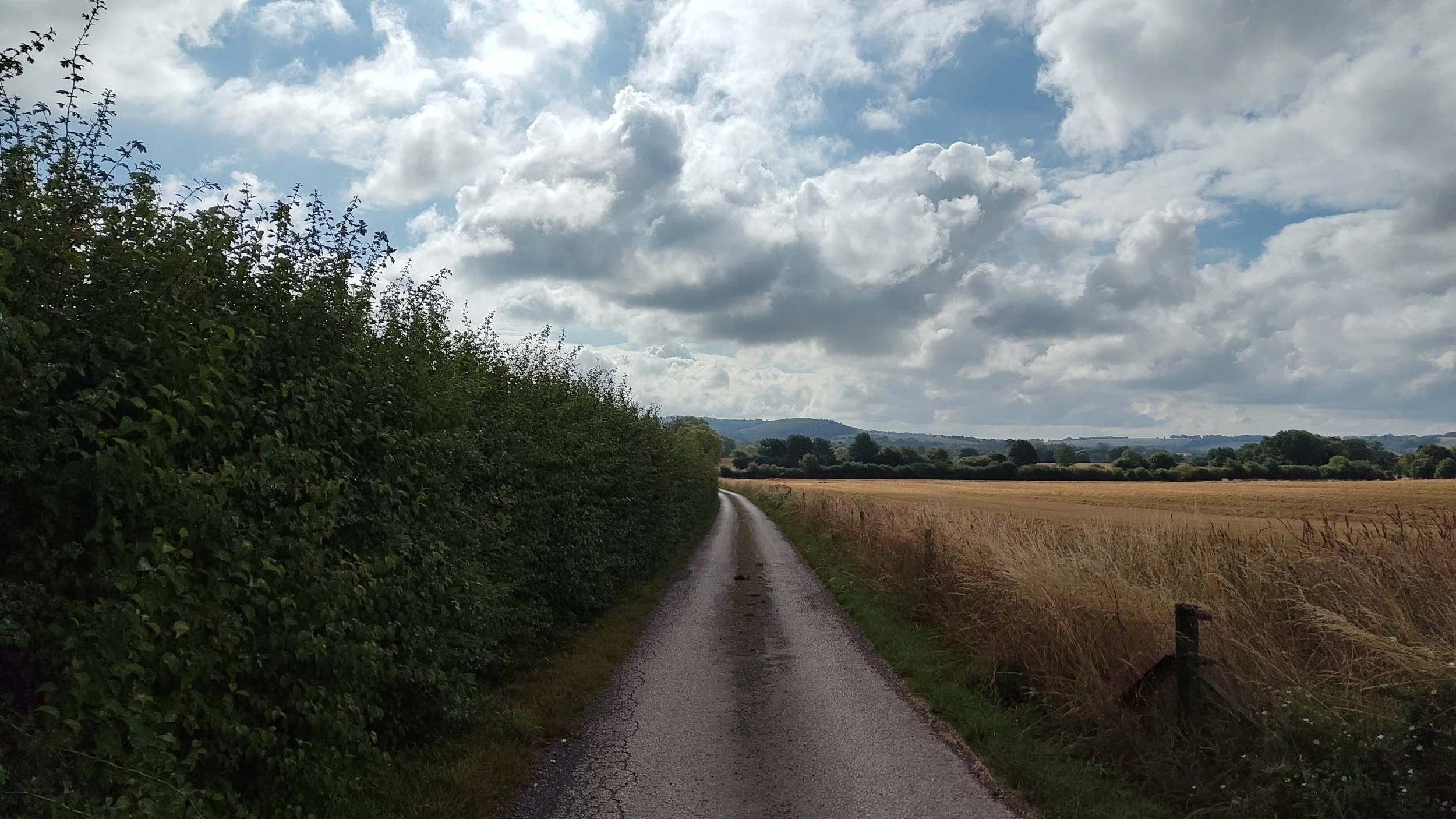 processed_9147.jpg
