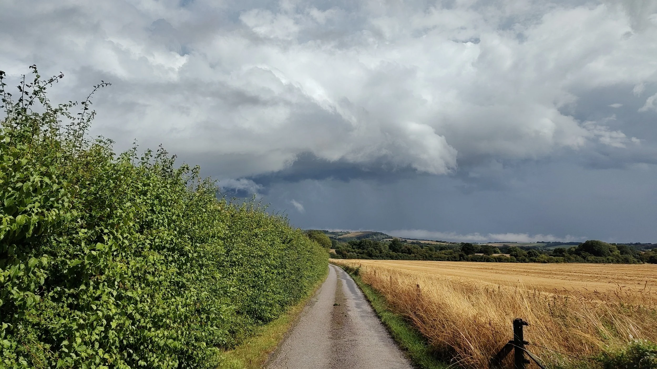 processed_9303.jpg