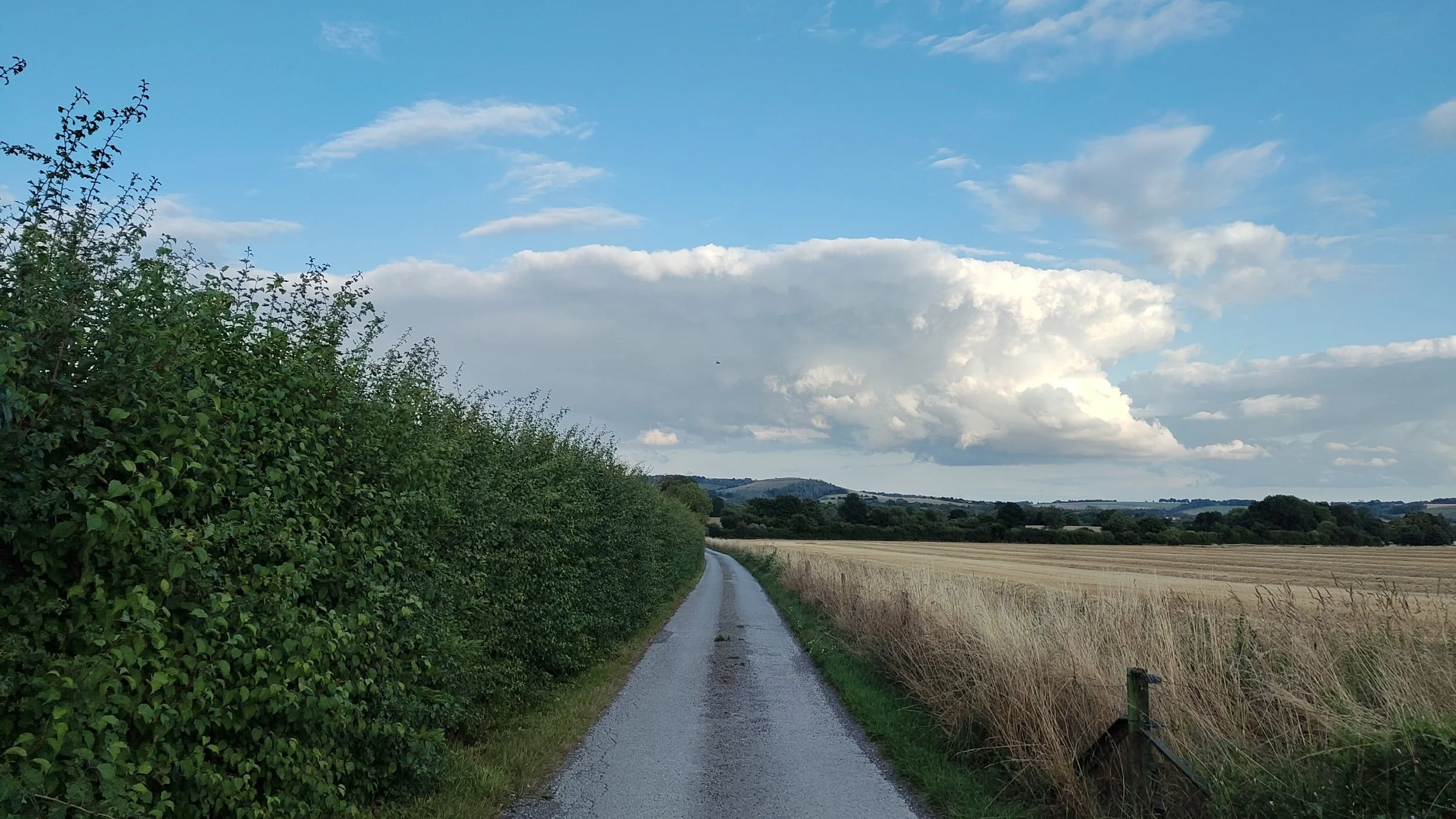 processed_9409.jpg