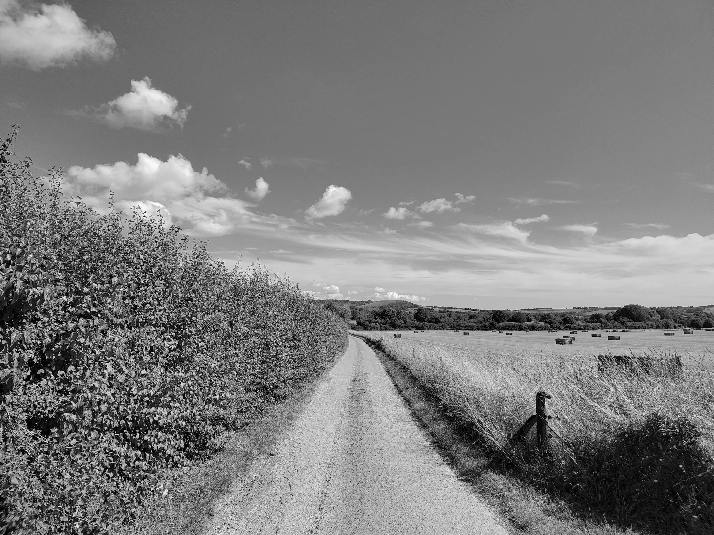 processed_11666.jpg