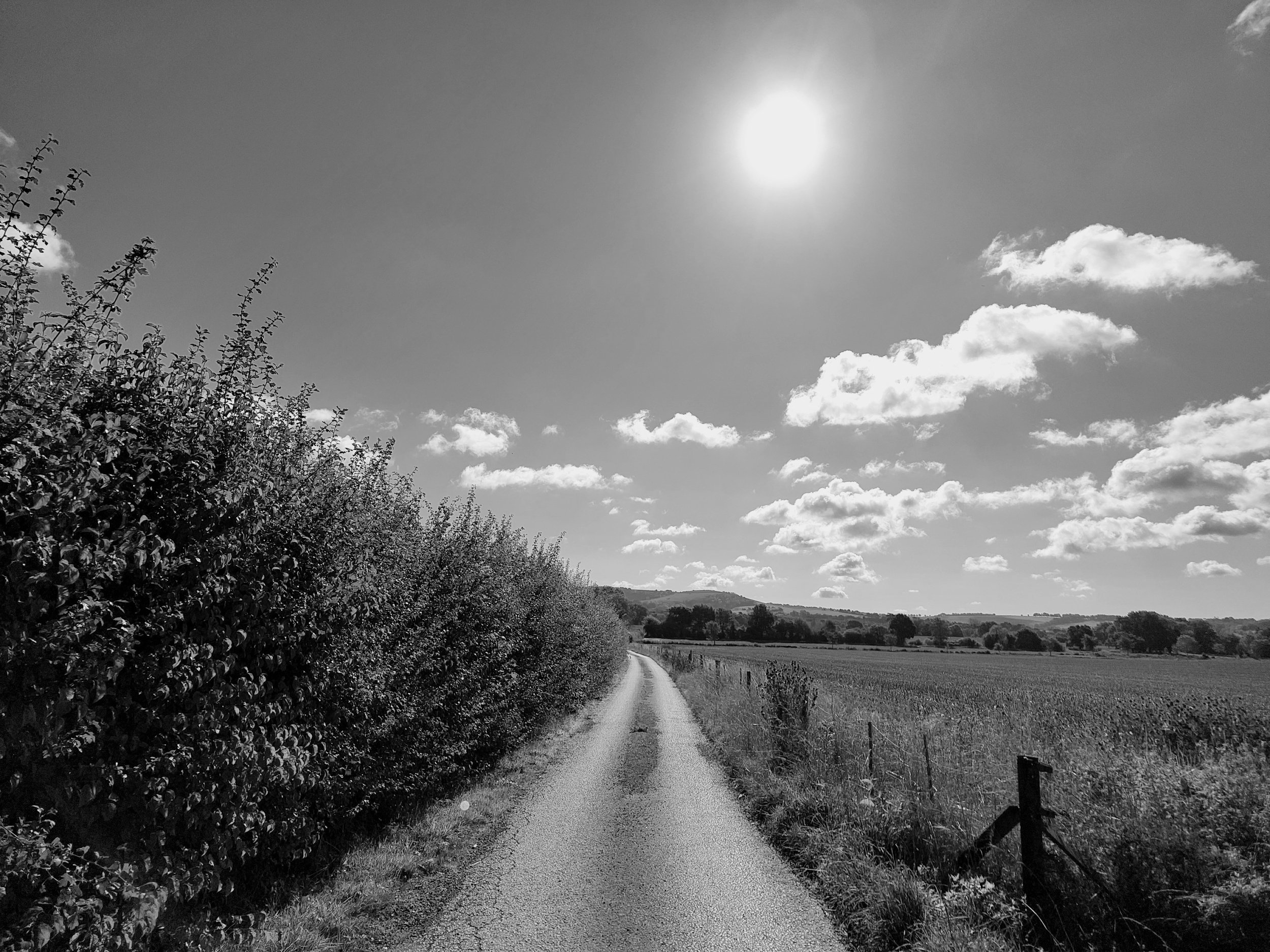 processed_1000041600.jpg