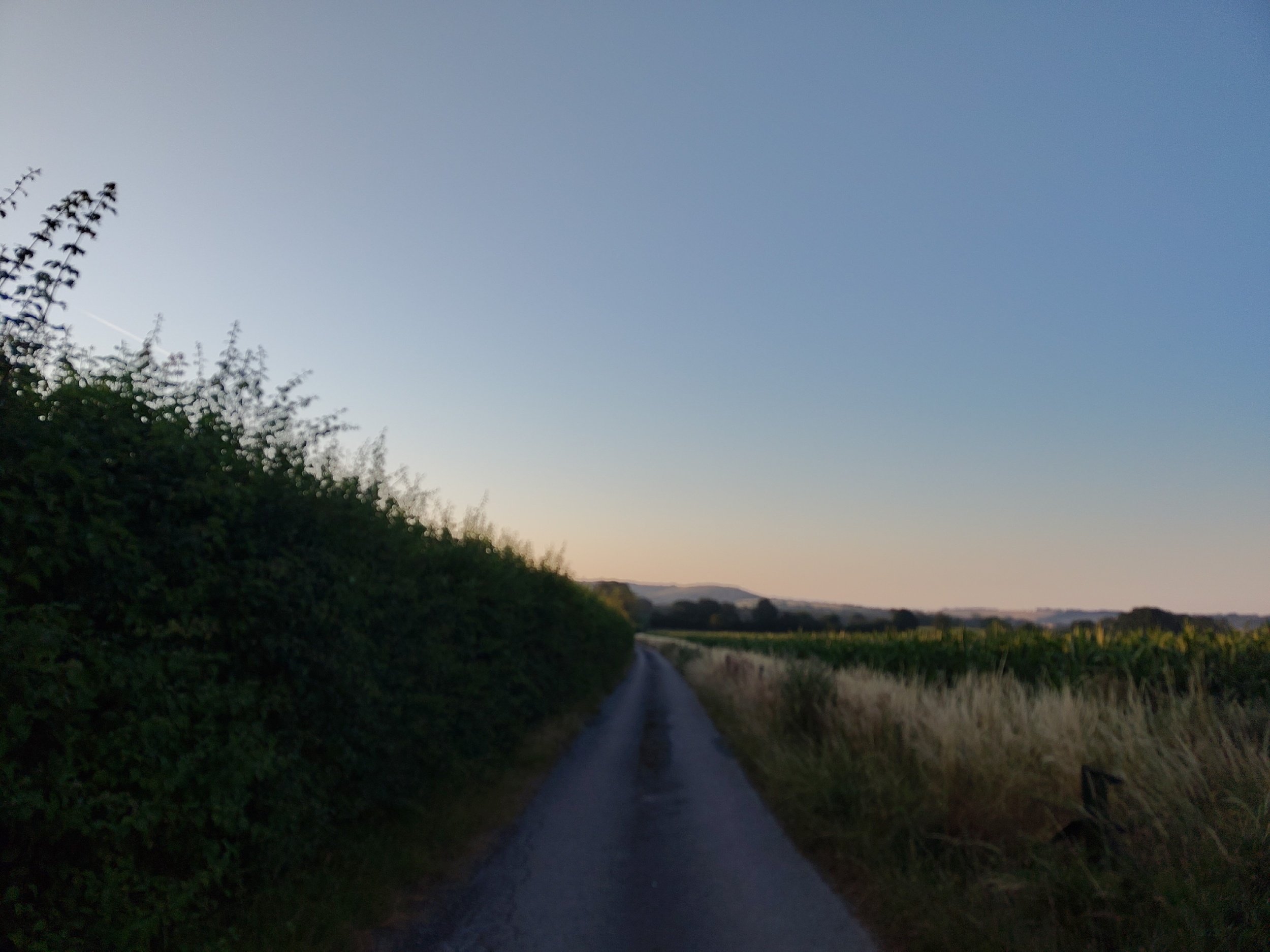 processed_1000033127.jpg