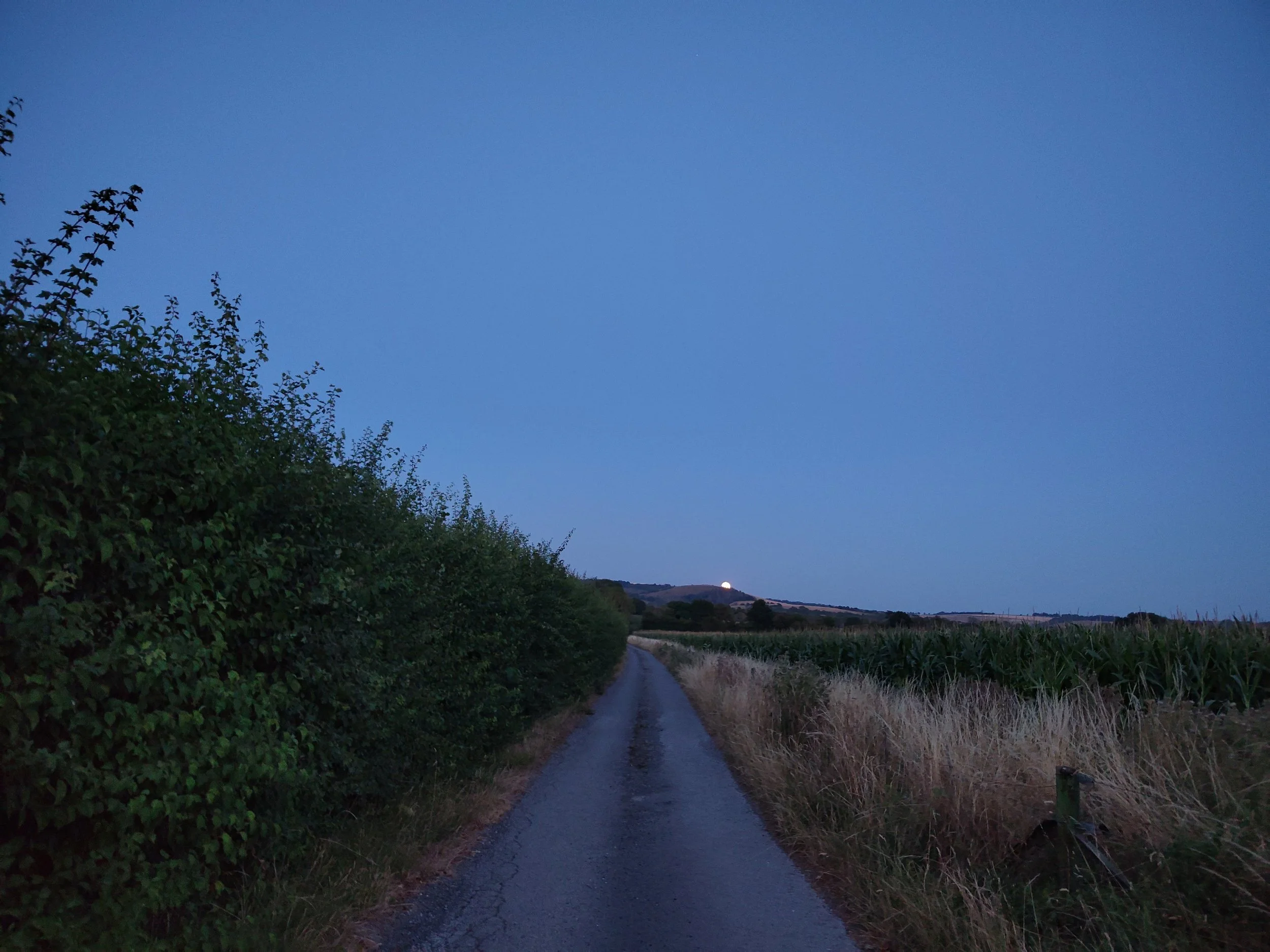 processed_1000035640.jpg