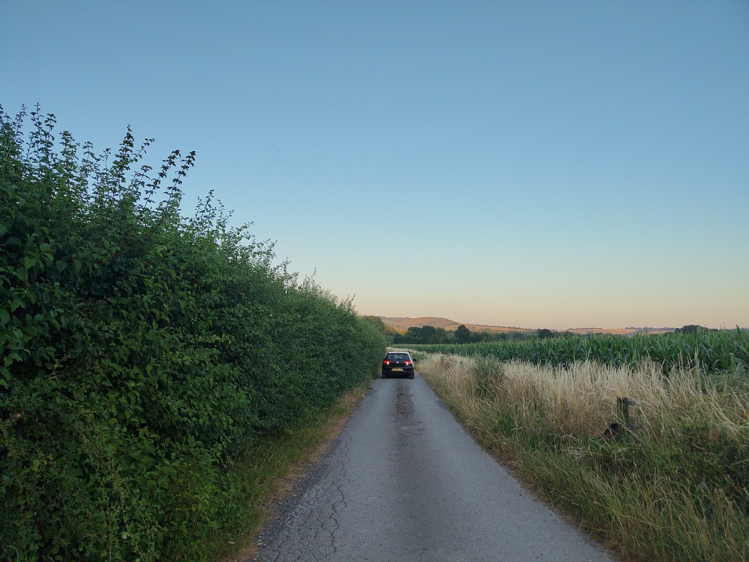 processed_1000033667.jpg