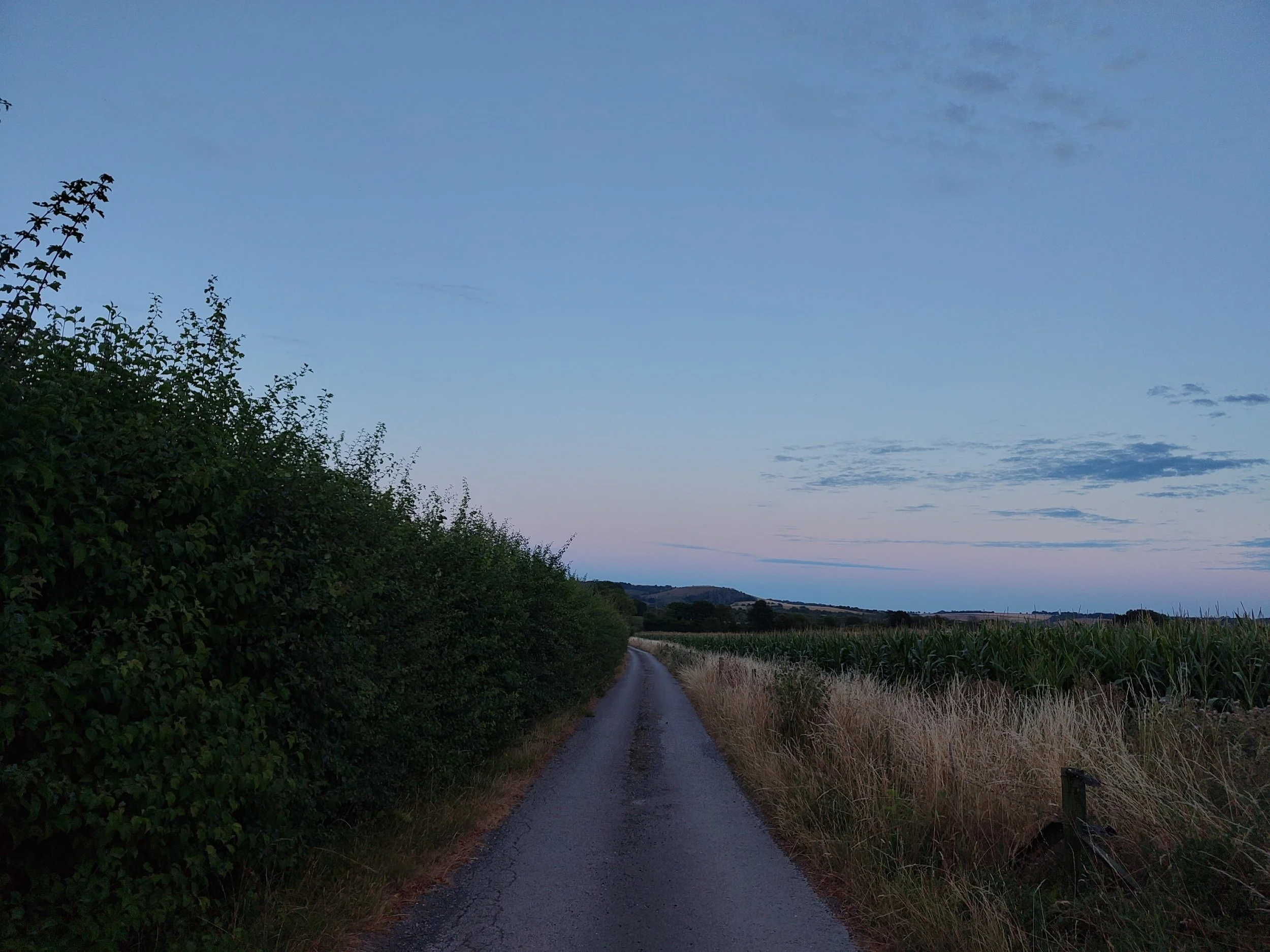 processed_1000035556.jpg