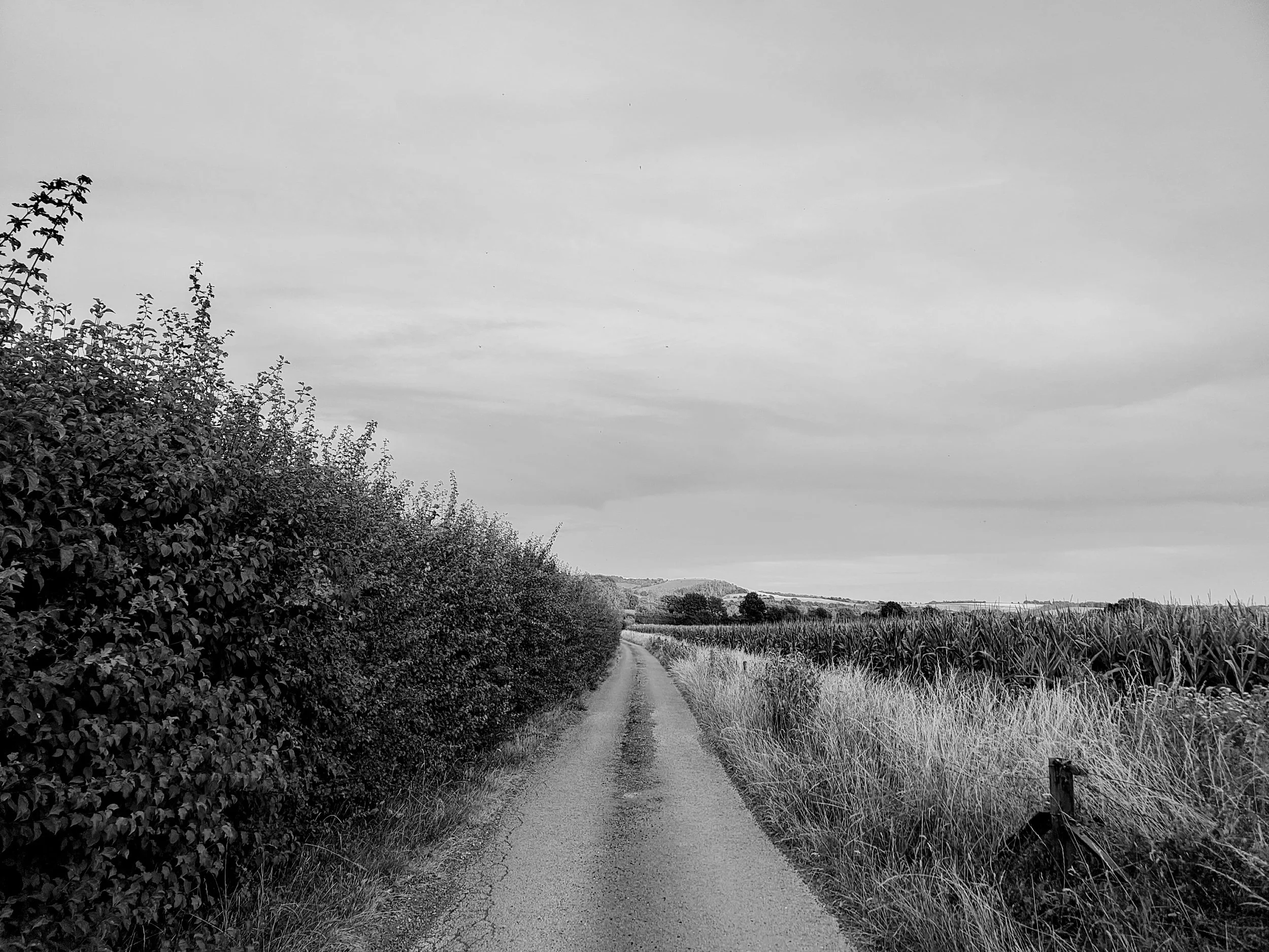 processed_1000036054.jpg