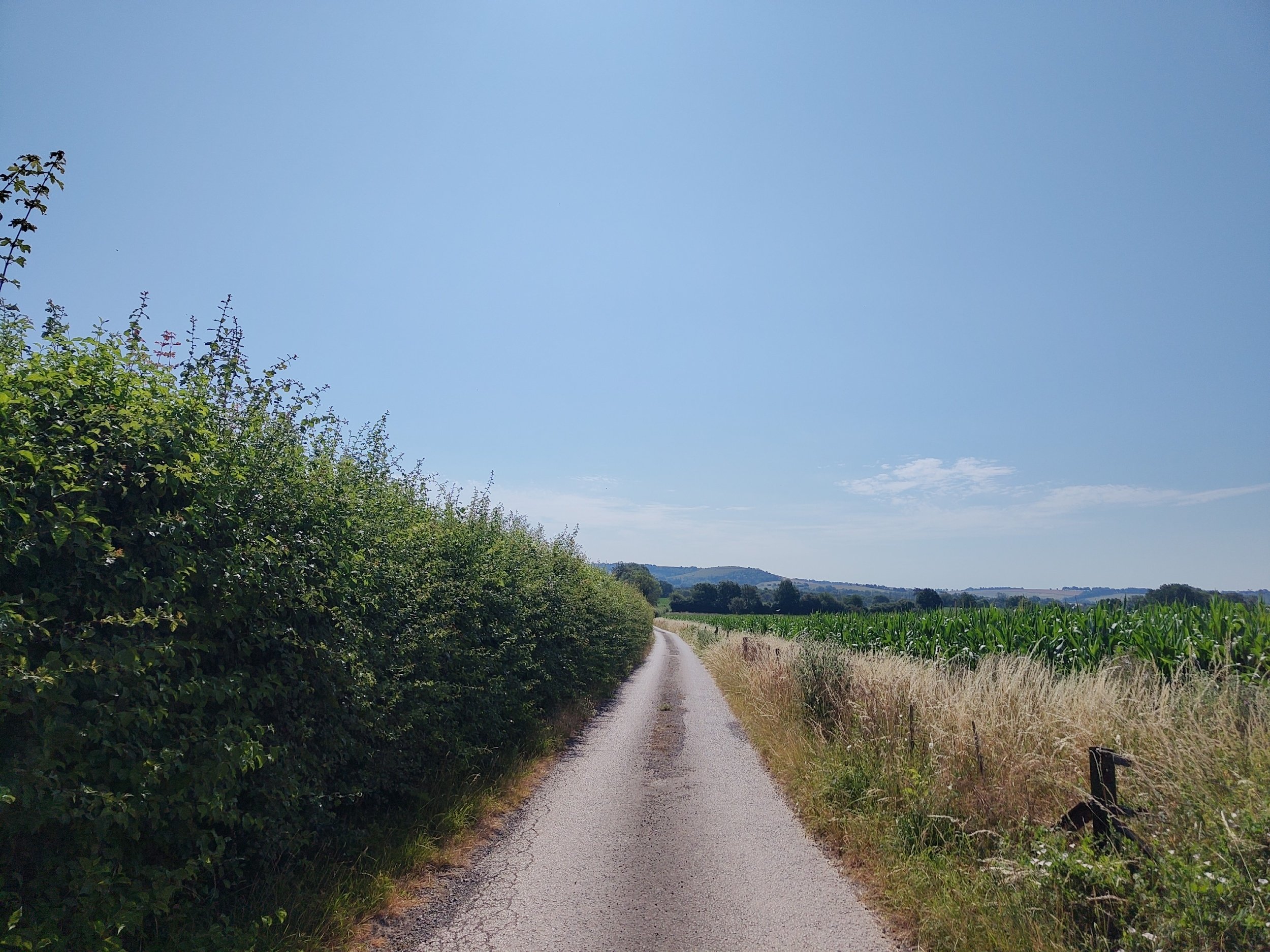 processed_1000033303.jpg
