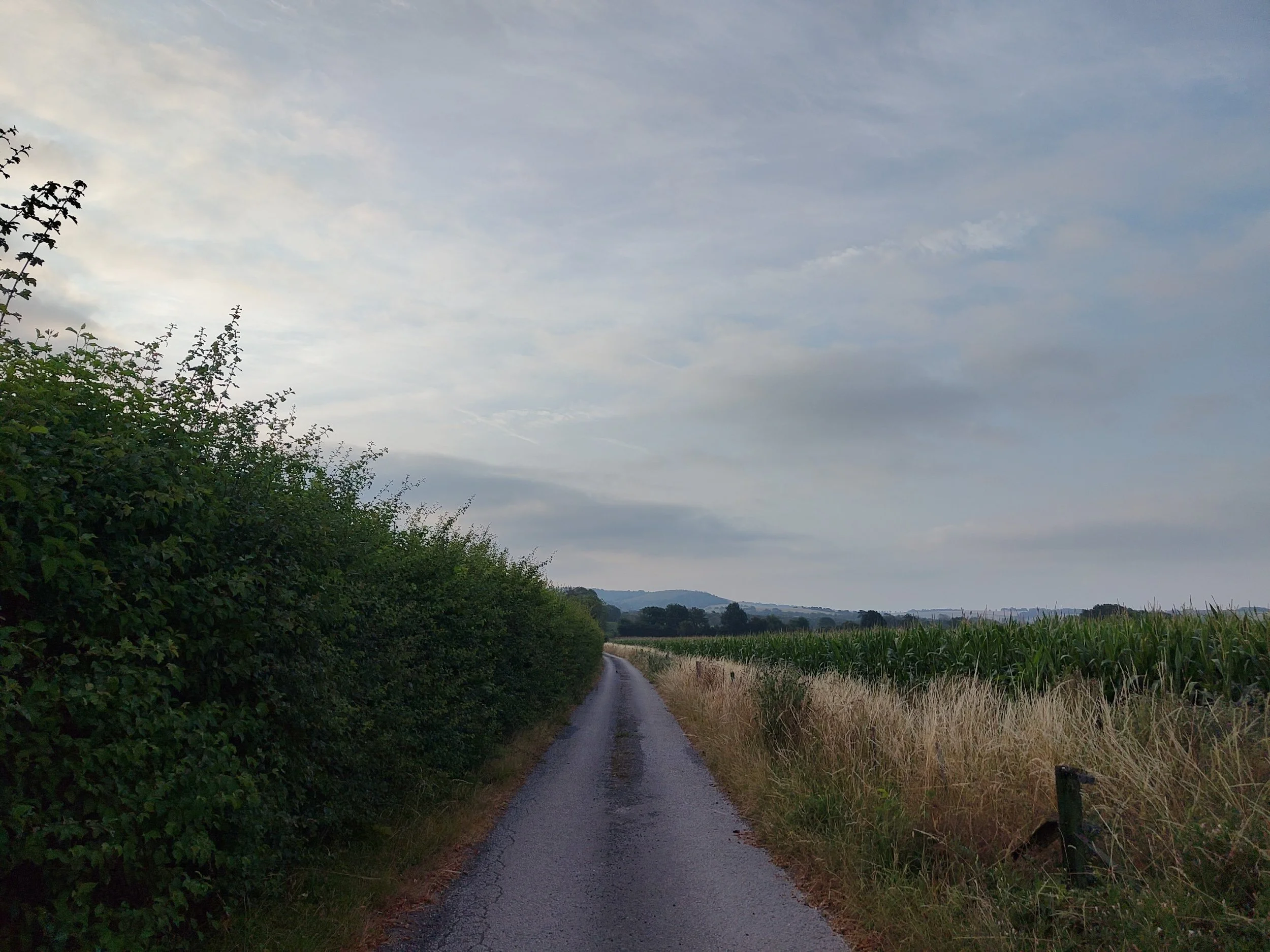 processed_1000034210.jpg