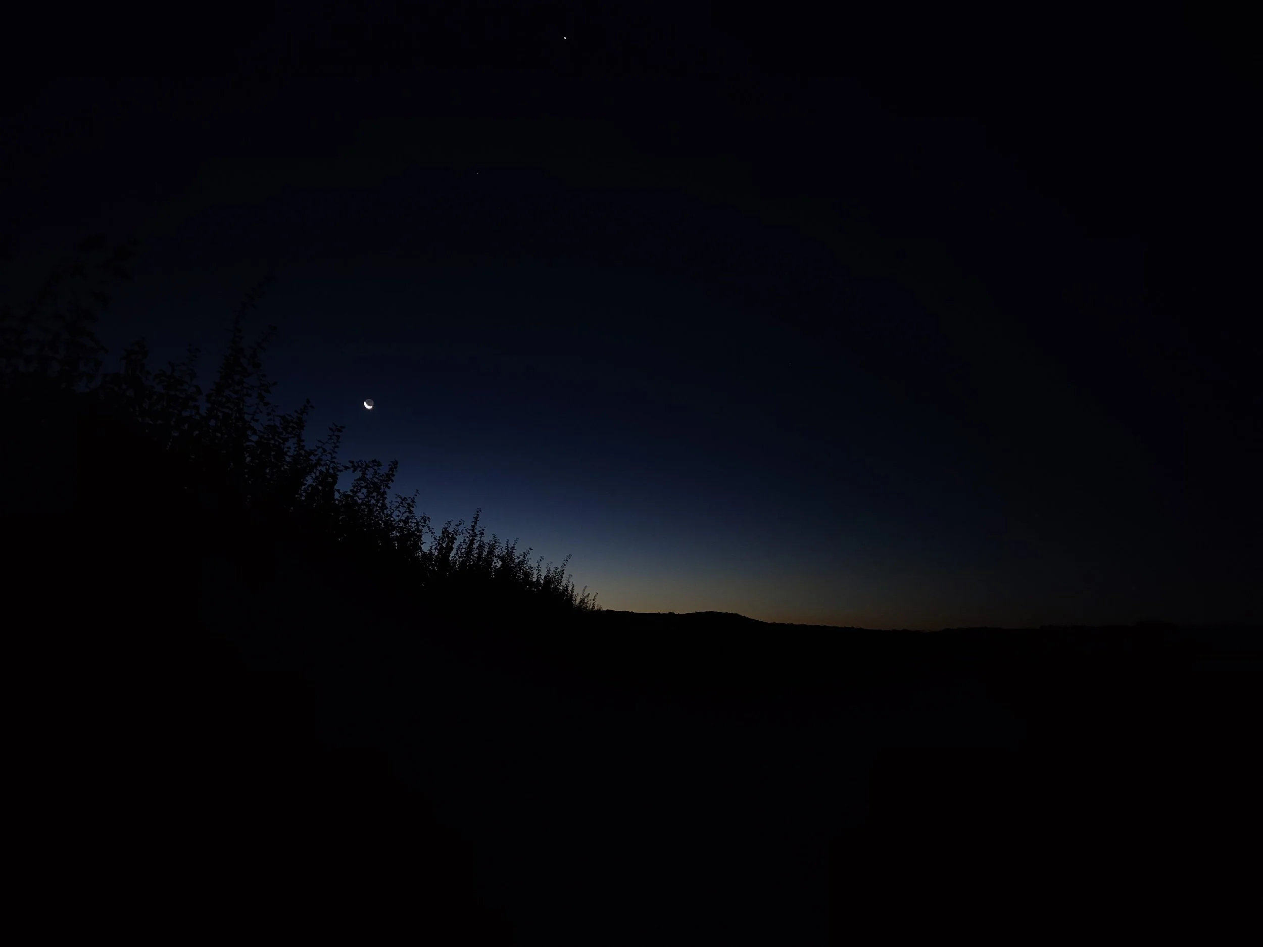 processed_1000043502.jpg