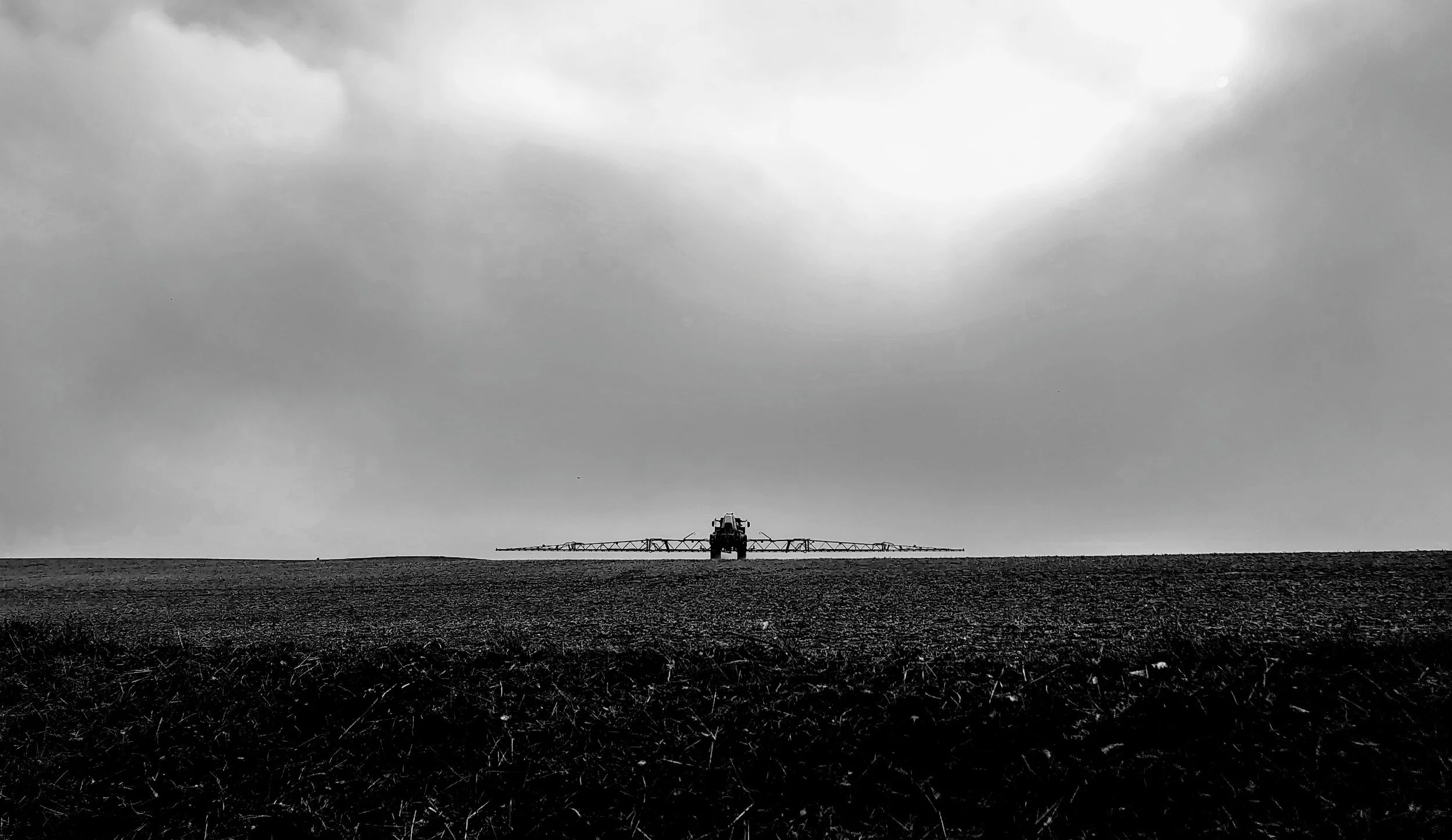 processed_1000042247.jpg