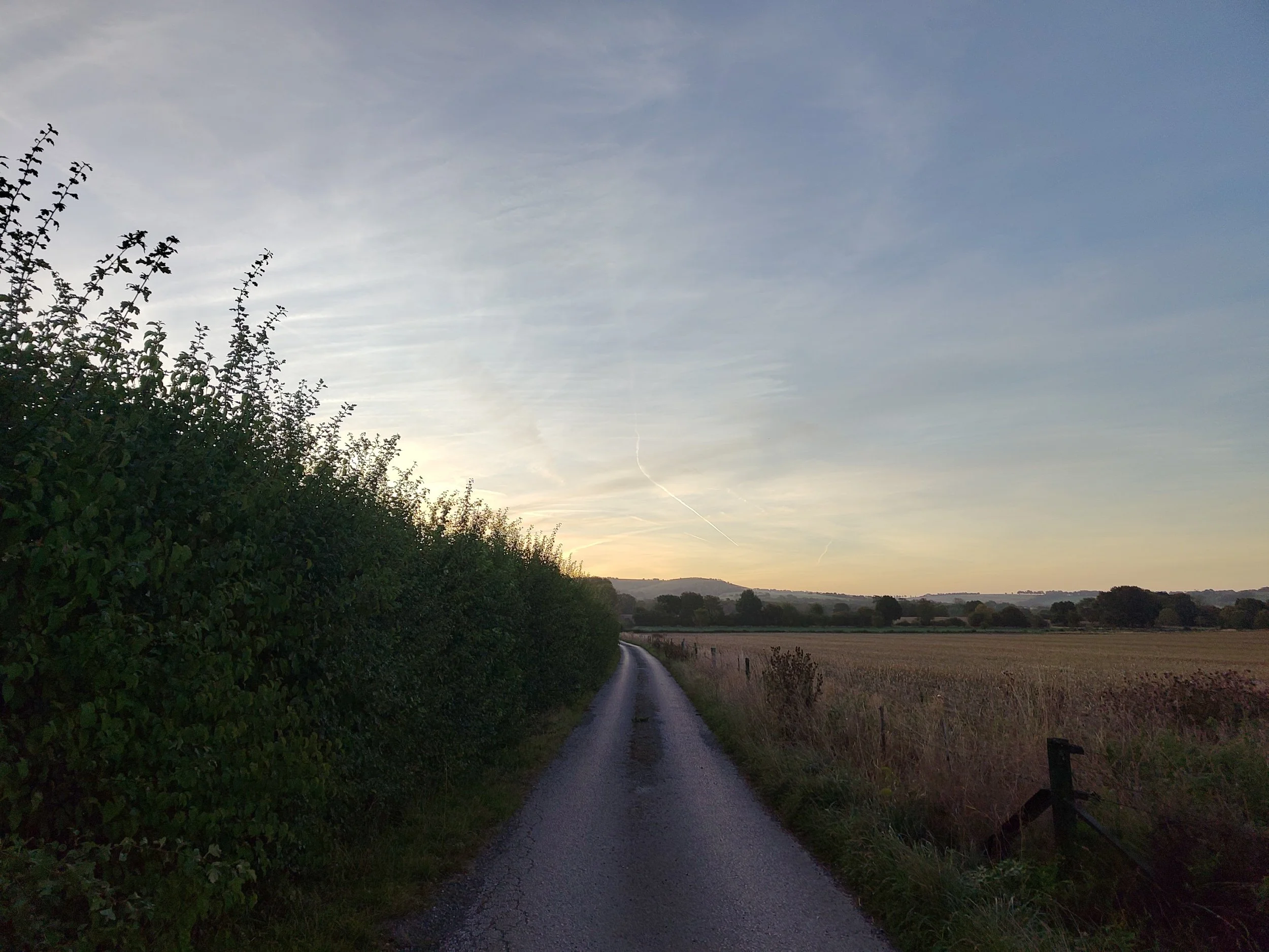 processed_1000041954.jpg