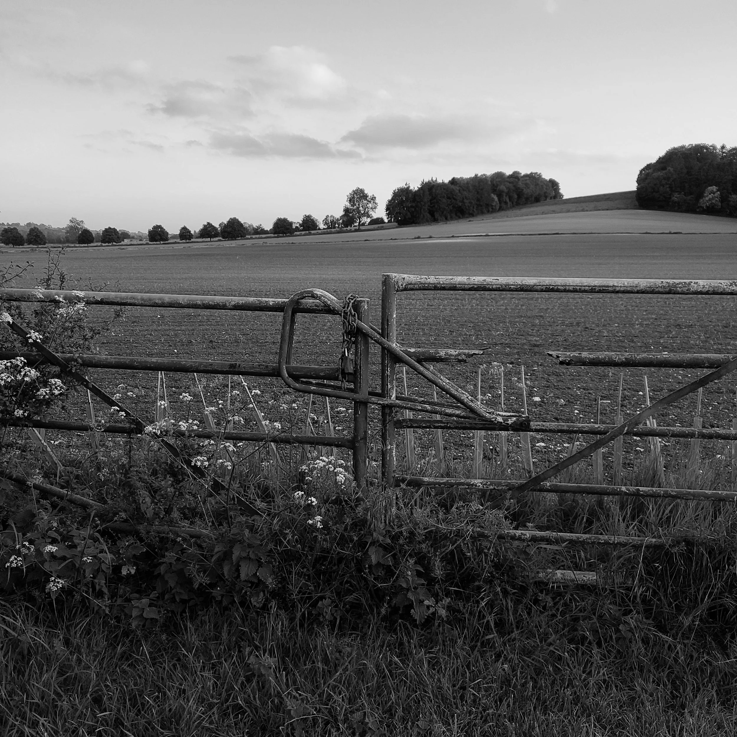 IMG_20260520_200518.jpg
