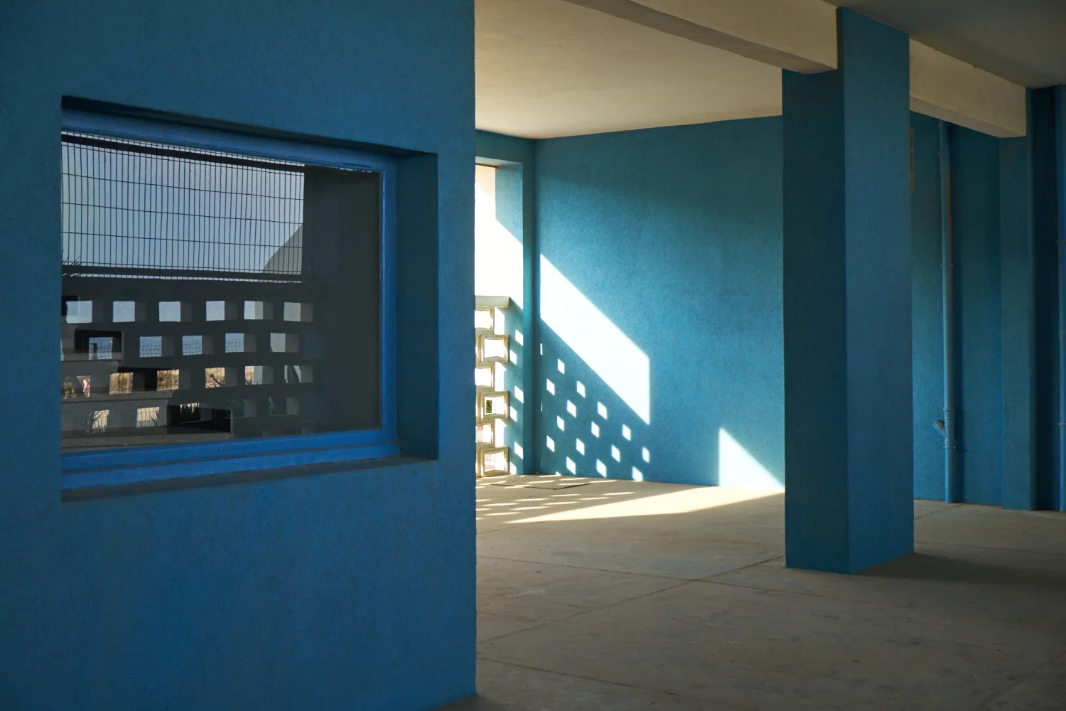 DSCF3279 1.jpg