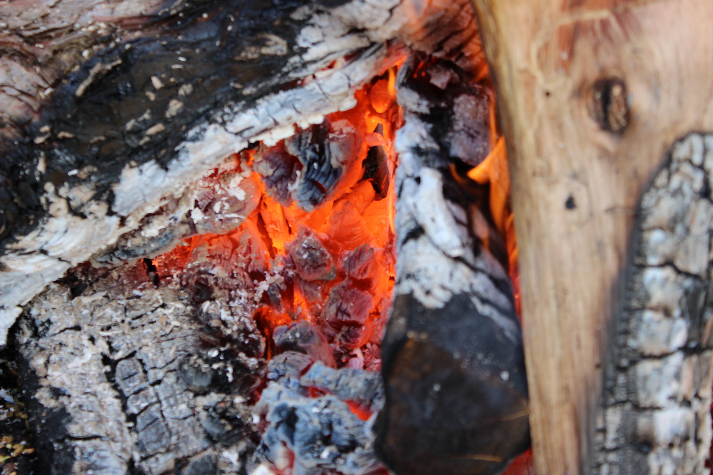 Meet My Ranch Family