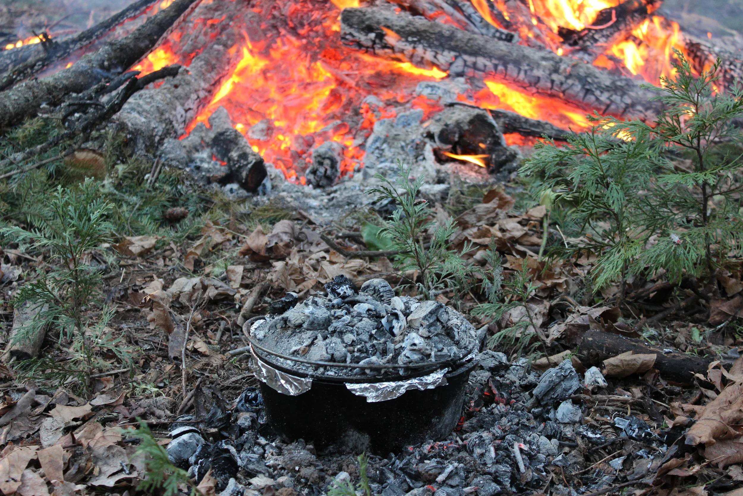 Dutch Oven by Bonfire