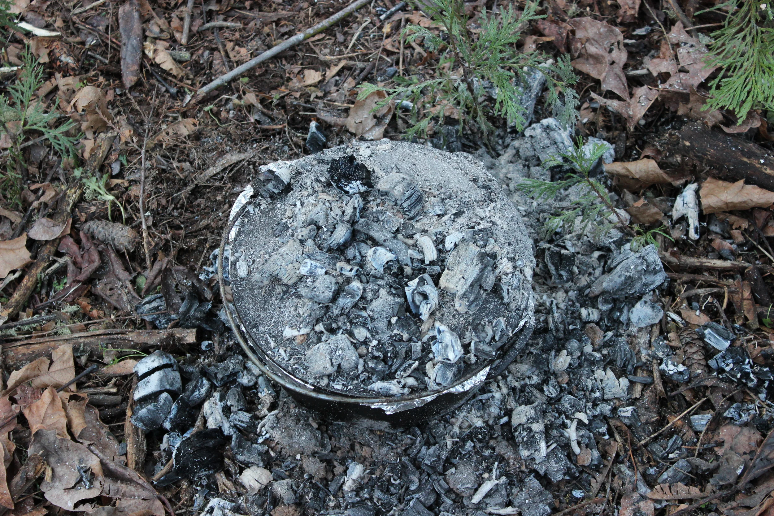 Dutch Oven Heaped in Coals