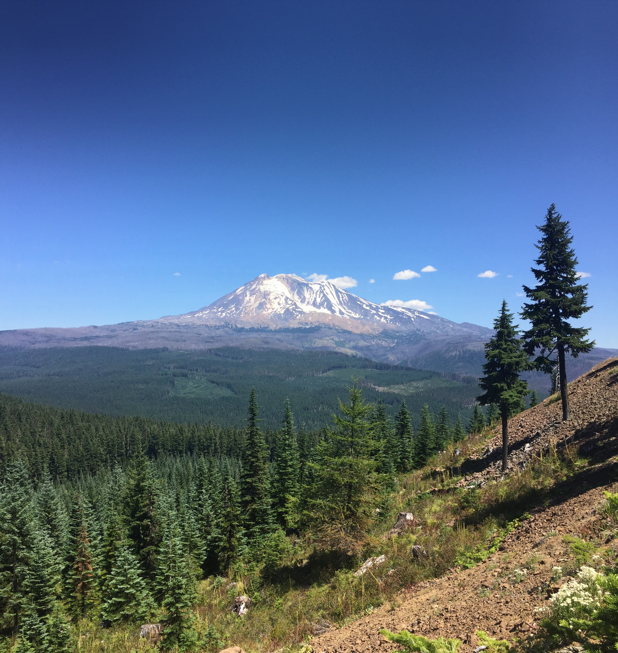 Mt. Adams view from a gravel sling sight where we received cargo from the fire via our helicopter for a few days