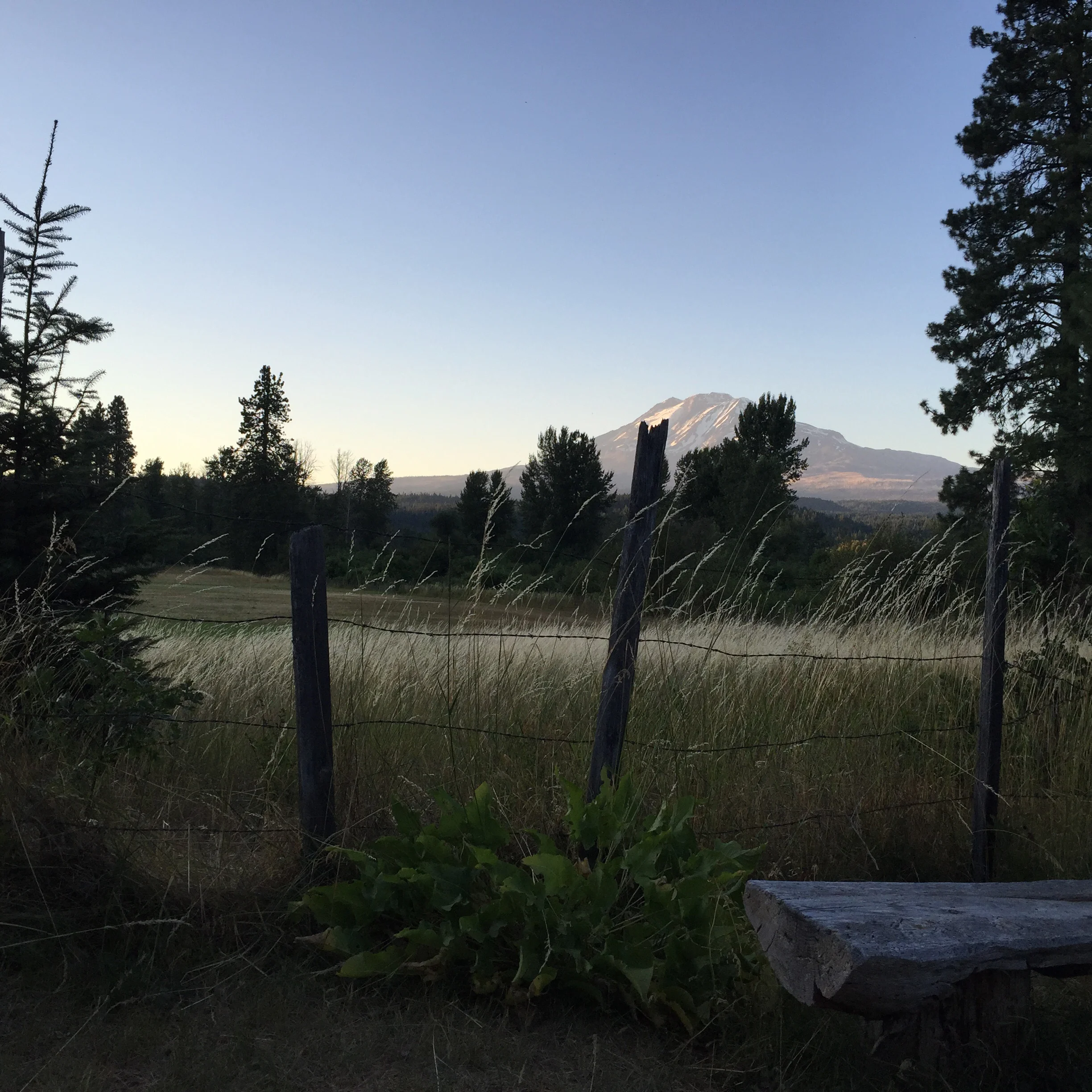 Mount Adams as seen from Trout Lake, Washington