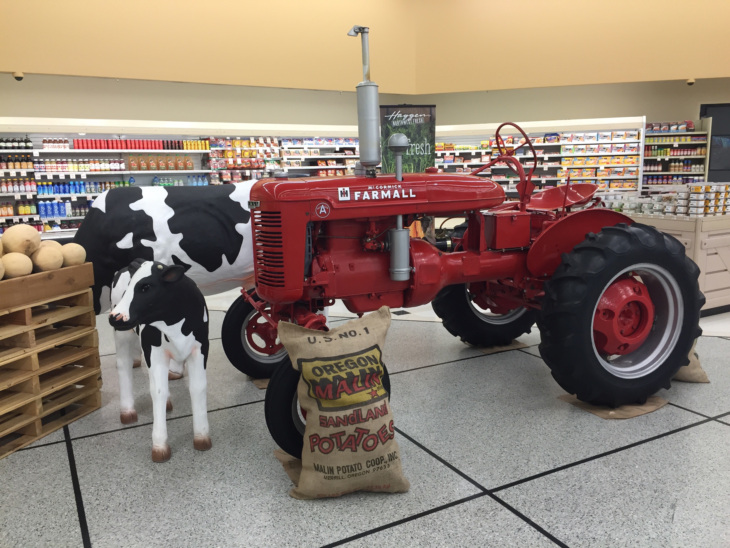 You know you're in Oregon farm country when...there is a tractor and fiberglass cows inside the grocery store.