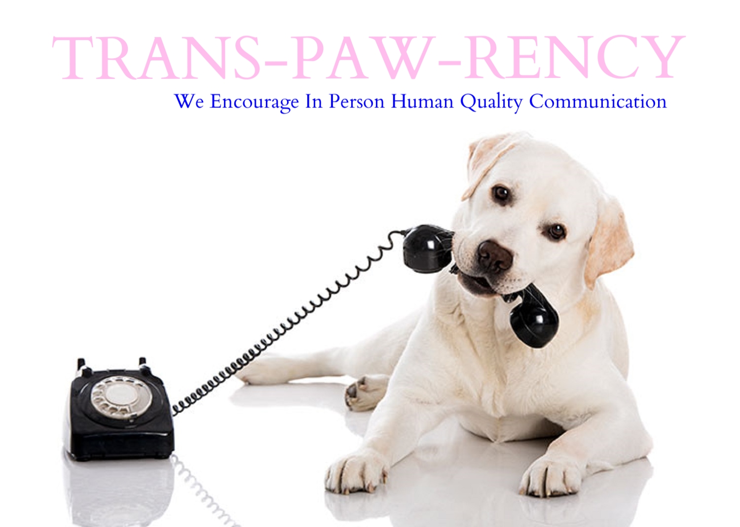 phonecalls.jpg