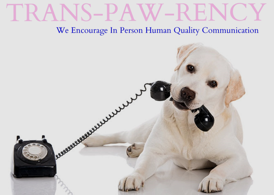 MiMi's Pet Transport USA Premium Pet Transport