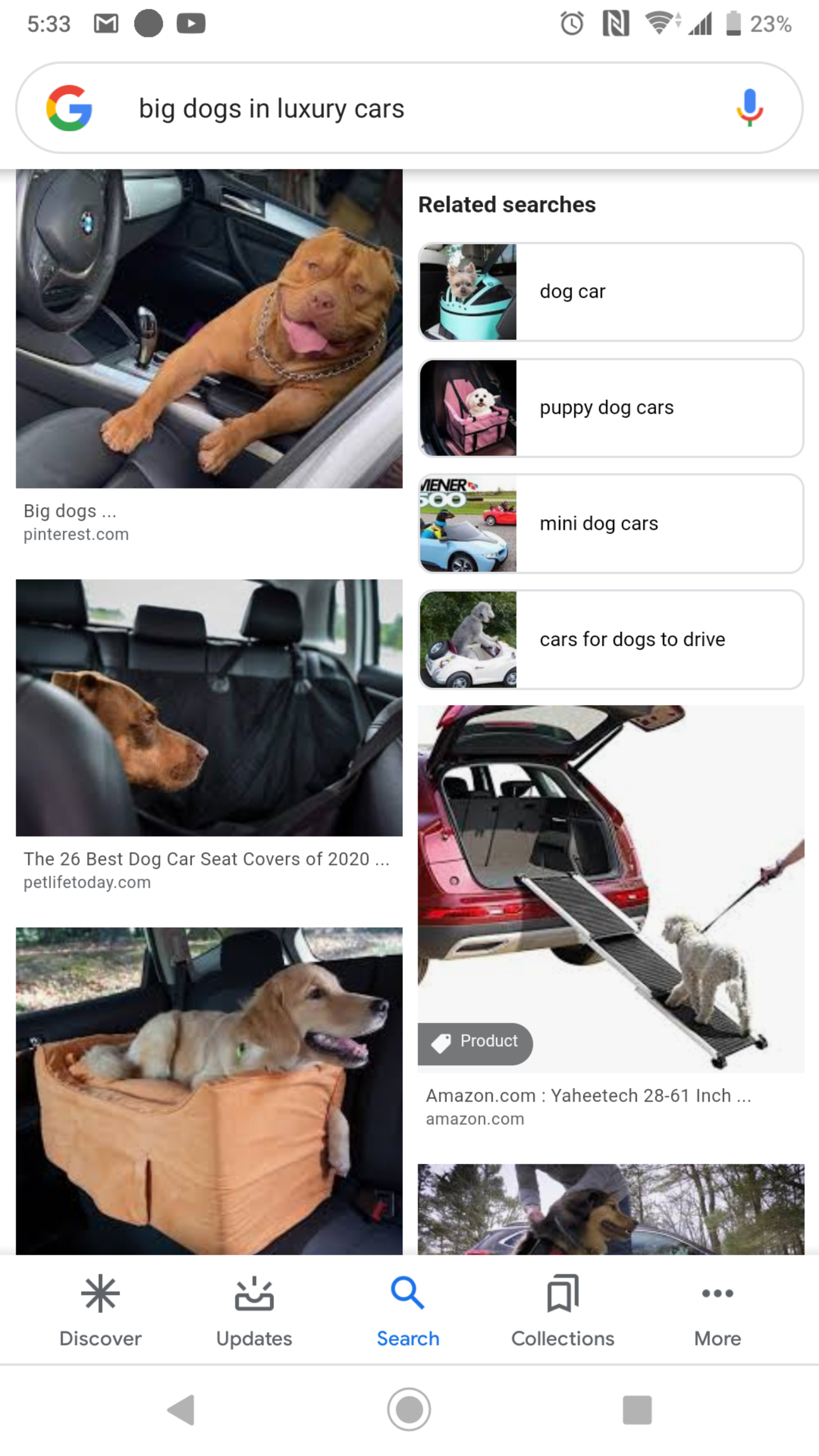 luxury pet transport