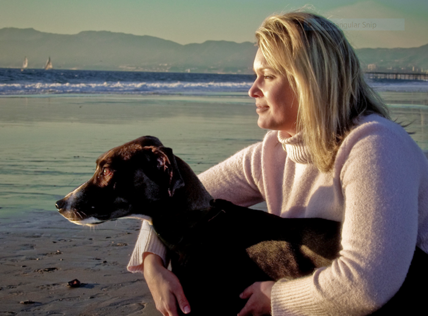 MiMi's Pet Transport USA Premium Pet Transport