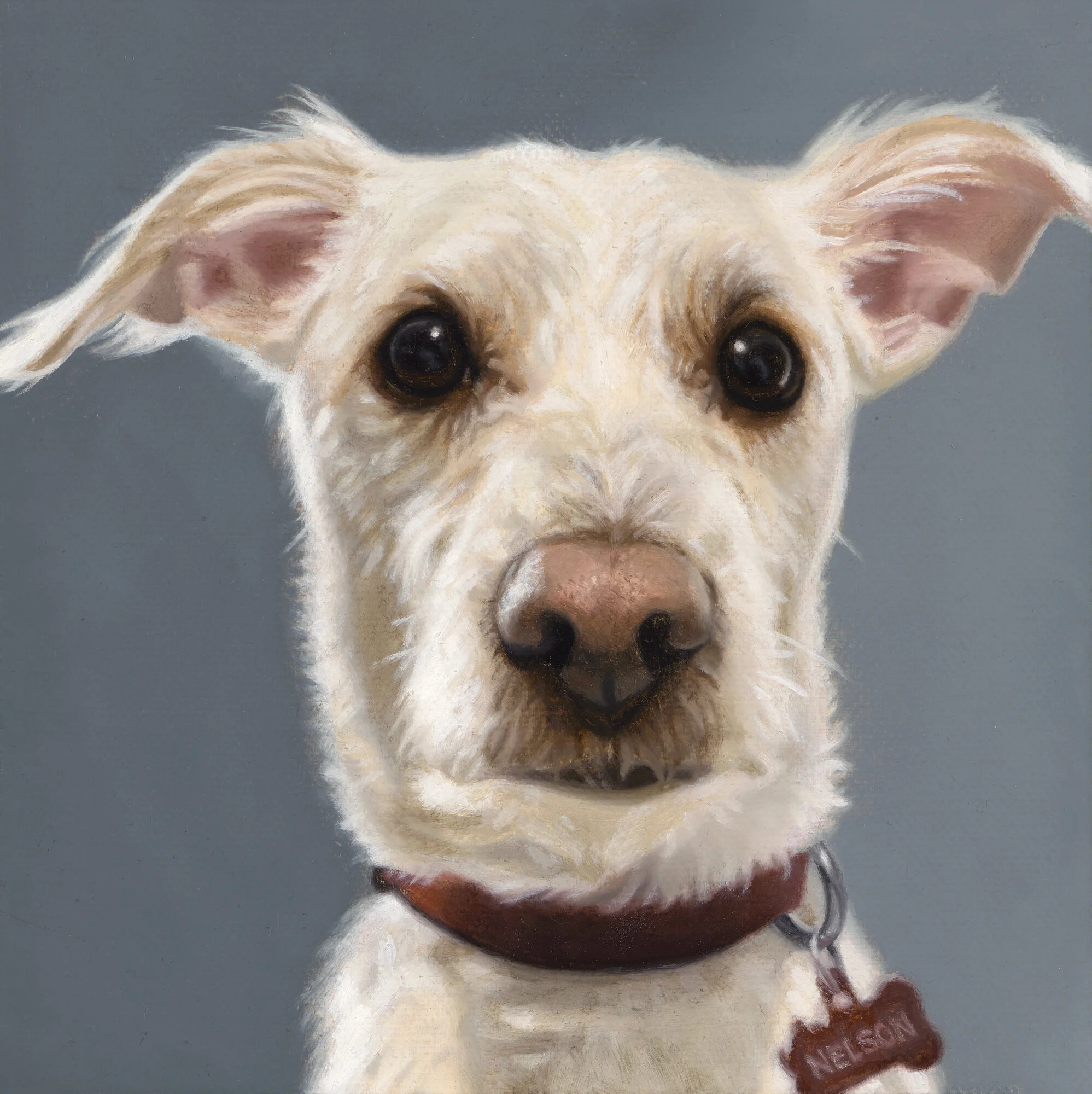 Oil on canvas | 6” x 6” Customize subject, size, and color with a commissioned piece. For more info, contact Liz here .