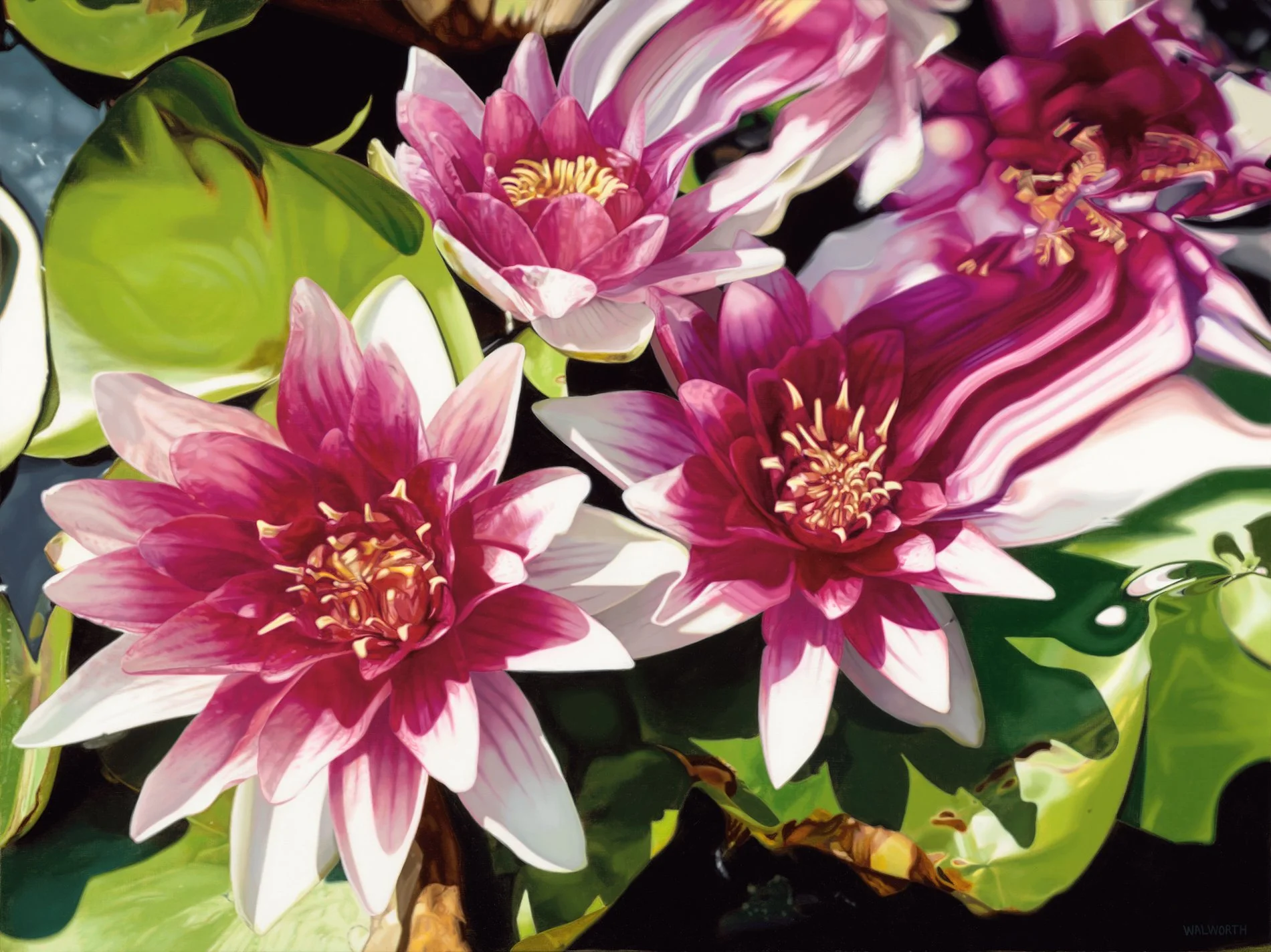 And the Kind Winds Wake Her